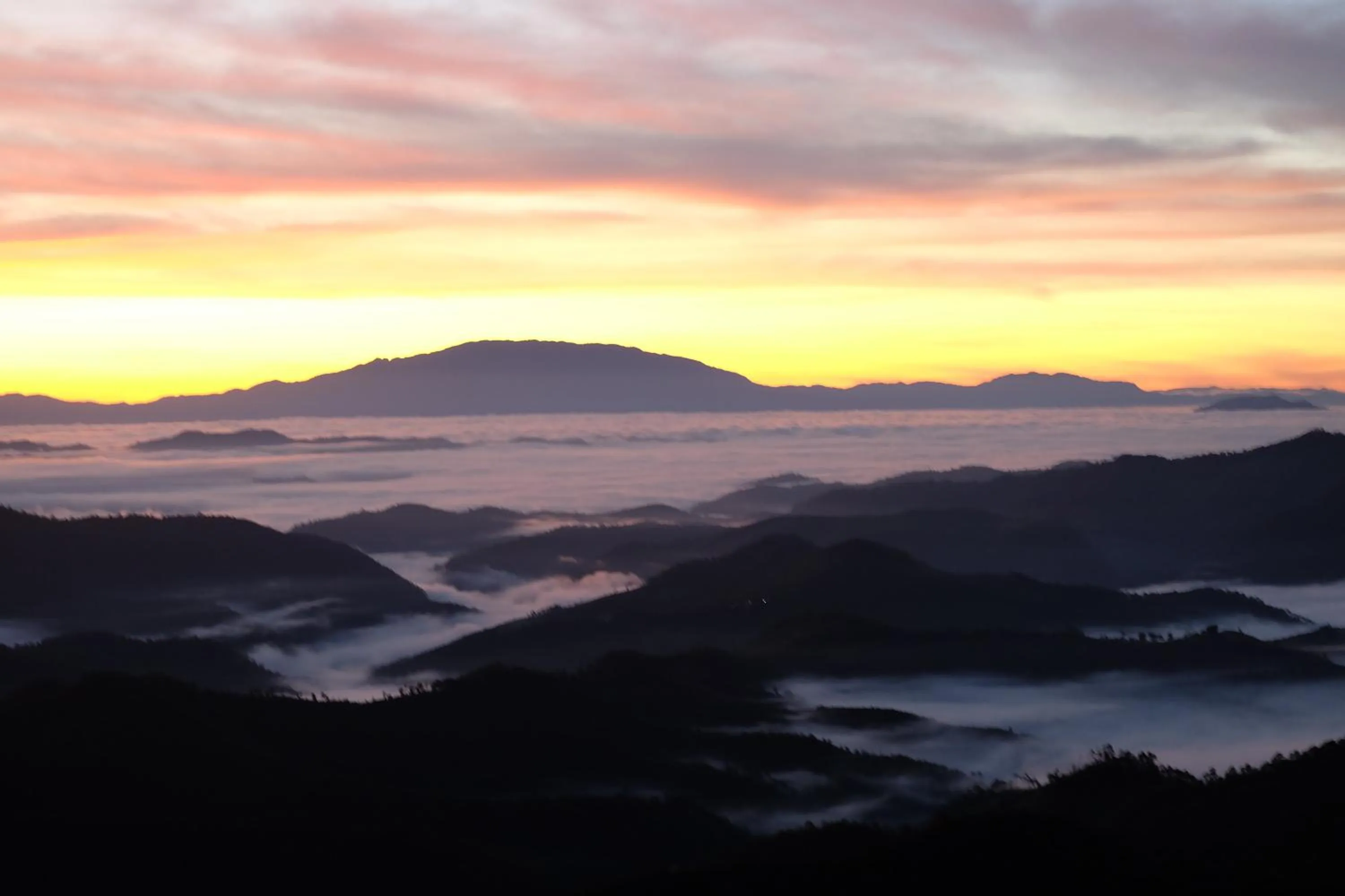 Natural landscape in Daizy House