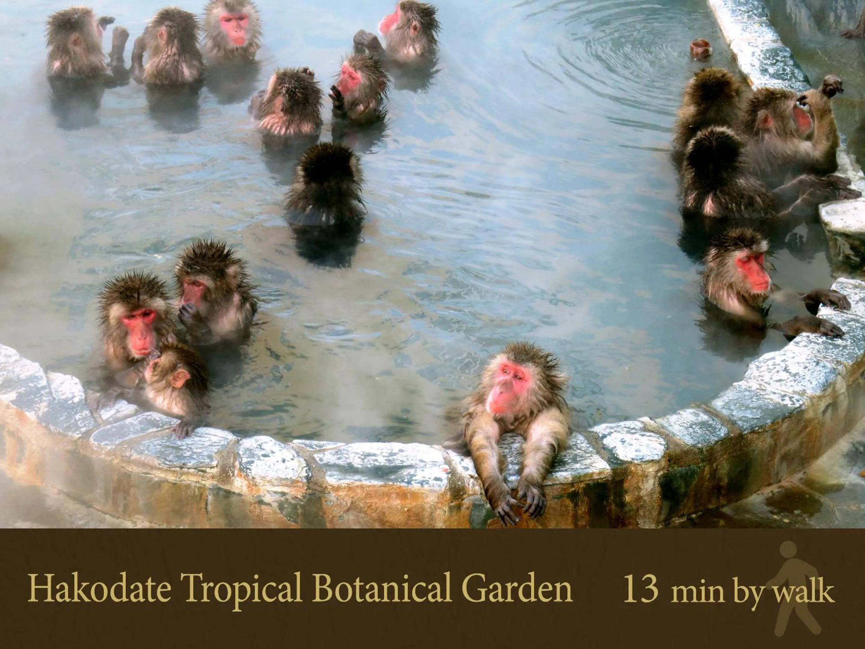 Nearby landmark in Hakodate Hotel Banso