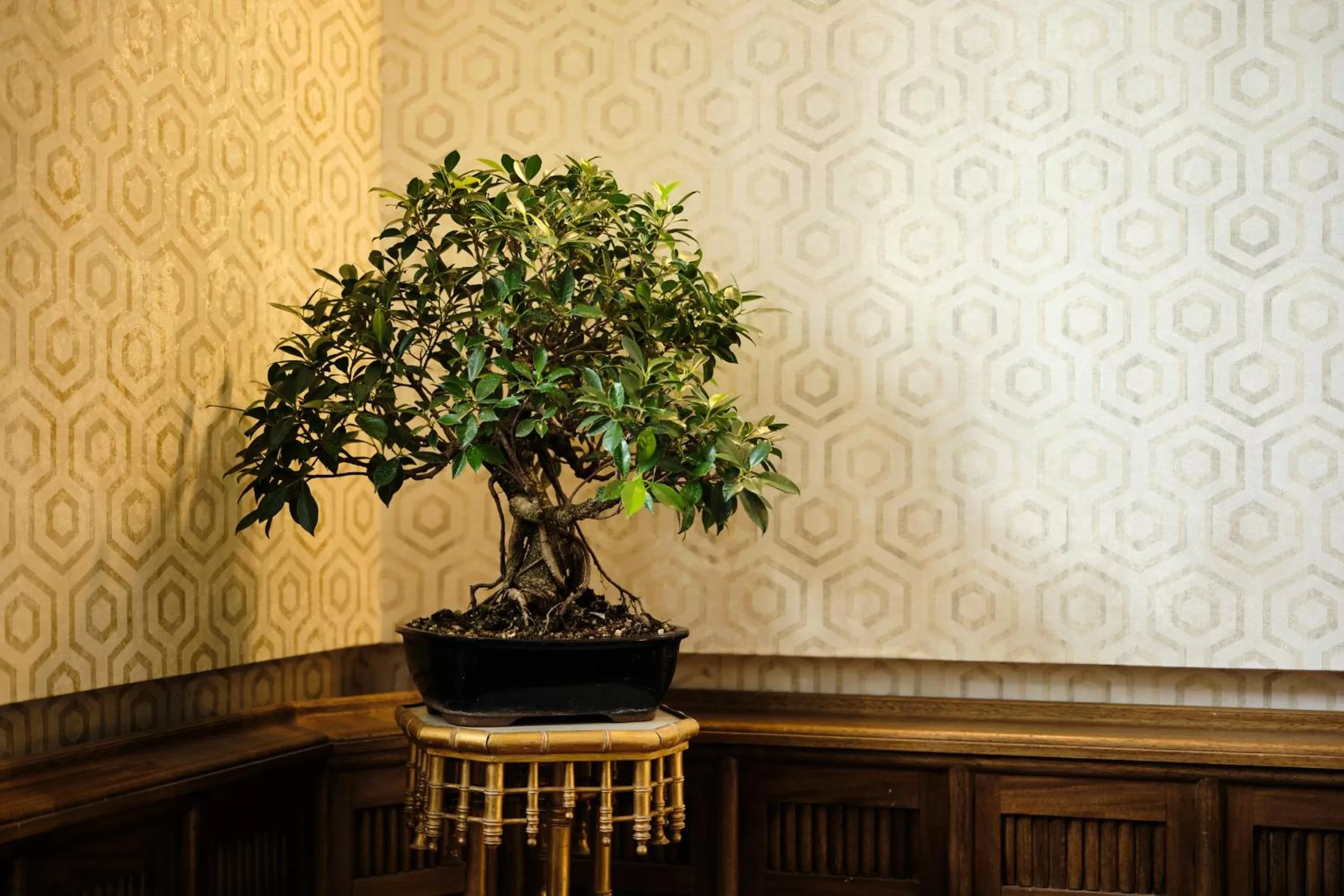 Decorative detail in HOTEL BOUTIQUE VILLA DEL MARQUÉS