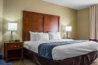 Superior Queen Room with Two Queen Beds - Non Smoking in Comfort Inn & Suites North Glendale and Peoria