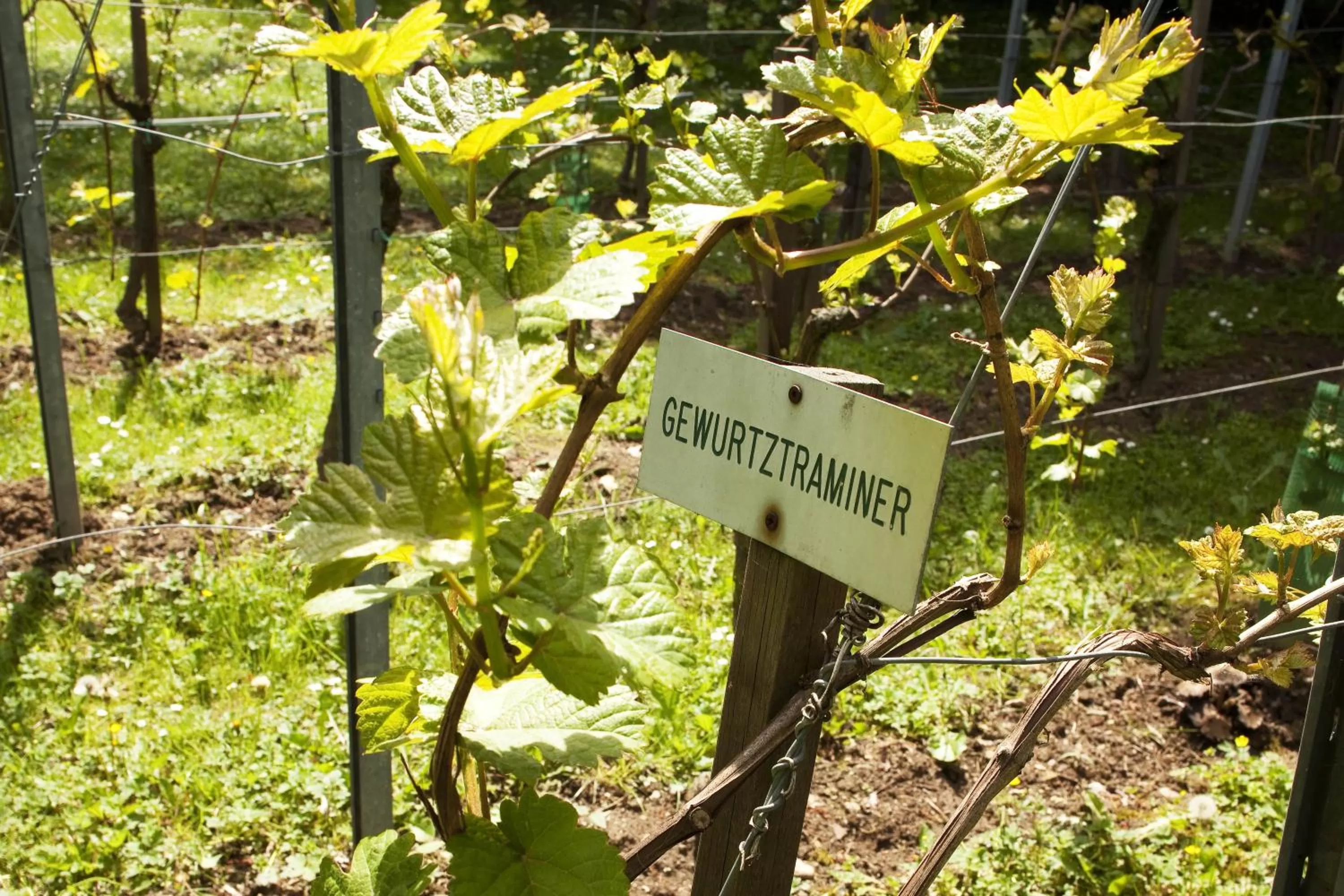 Other in Hotel Le Bugatti