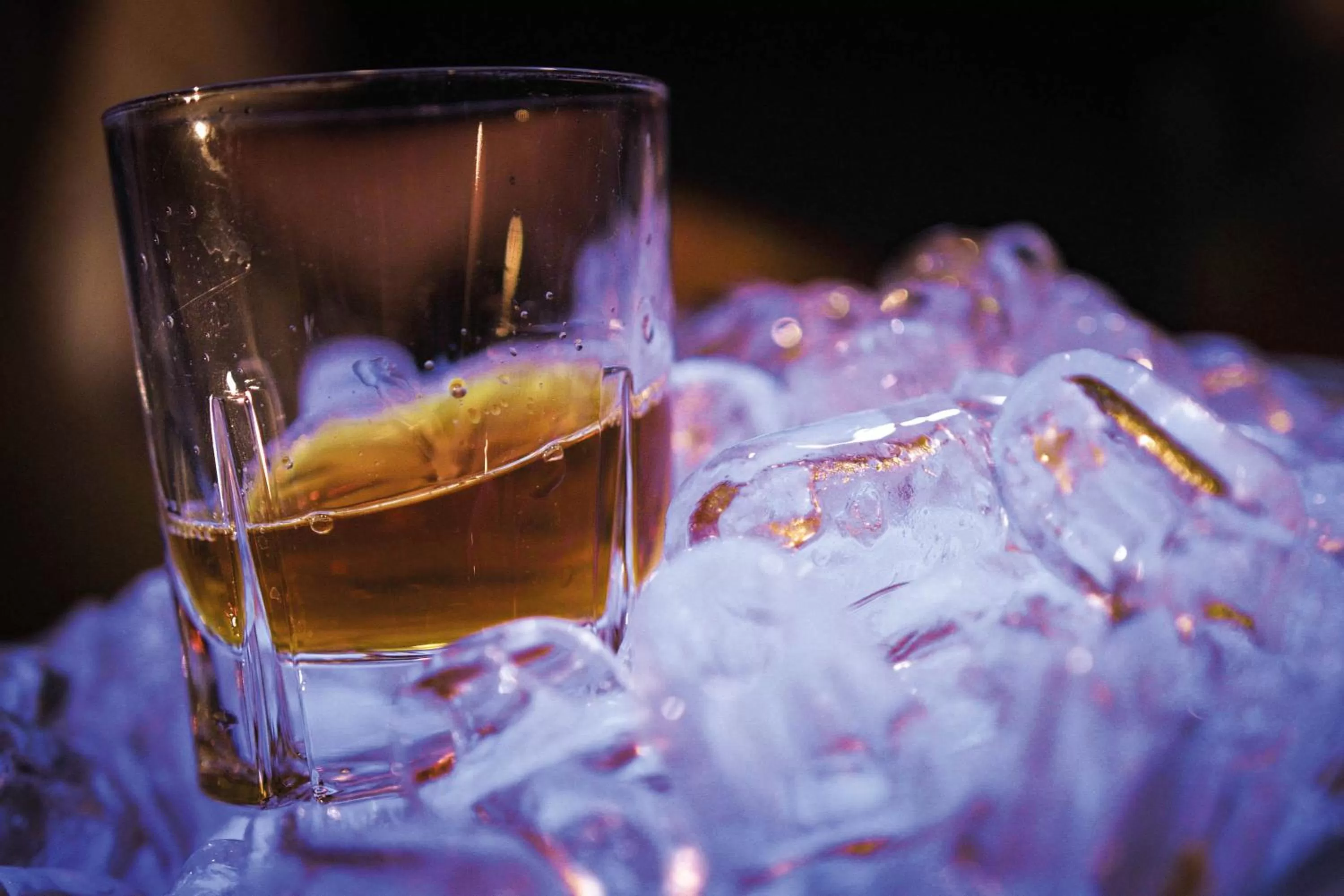 Lounge or bar in Seminaris Hotel Potsdam Griebnitzsee