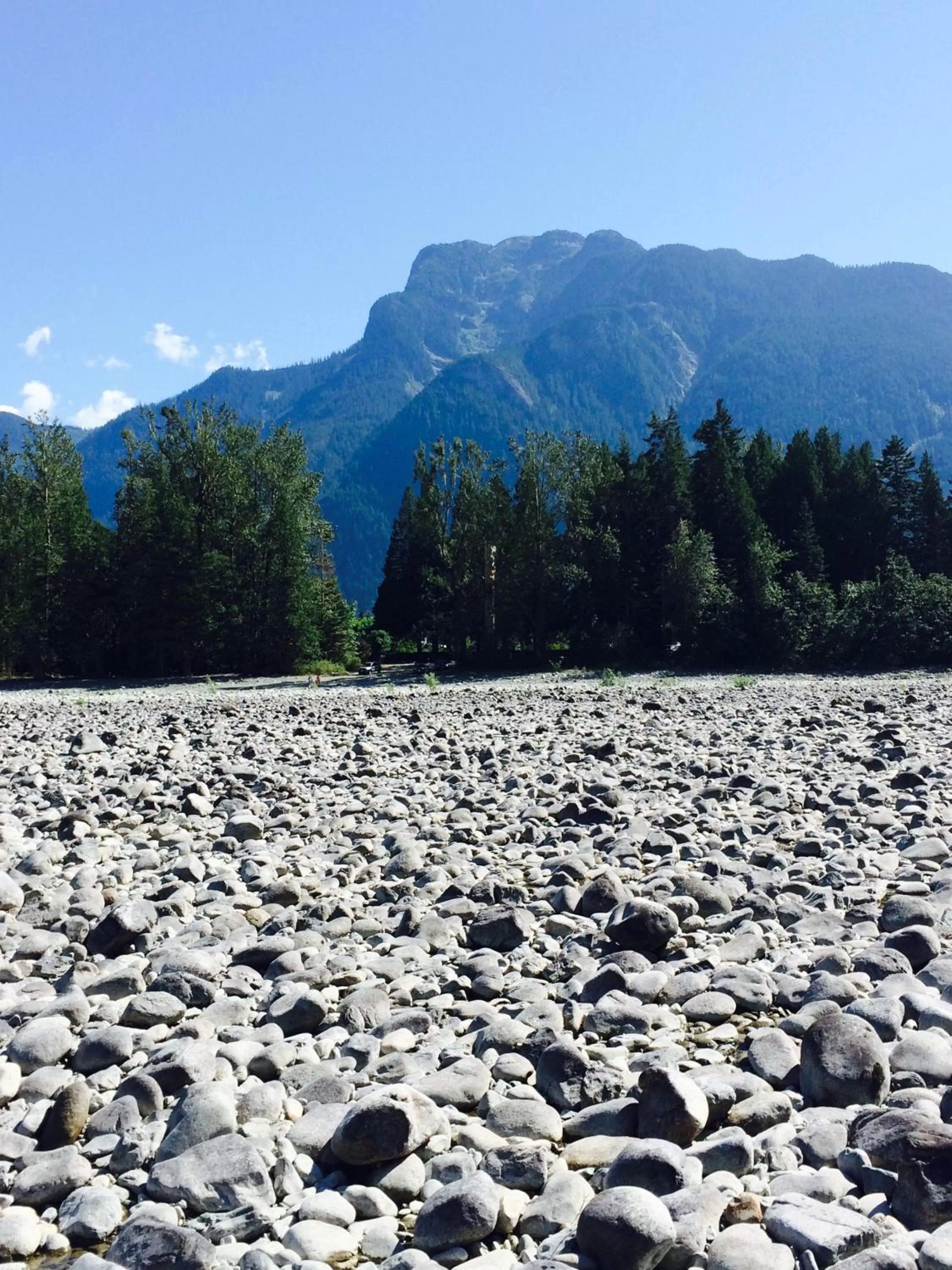 Natural landscape in Evergreen Bed & Breakfast