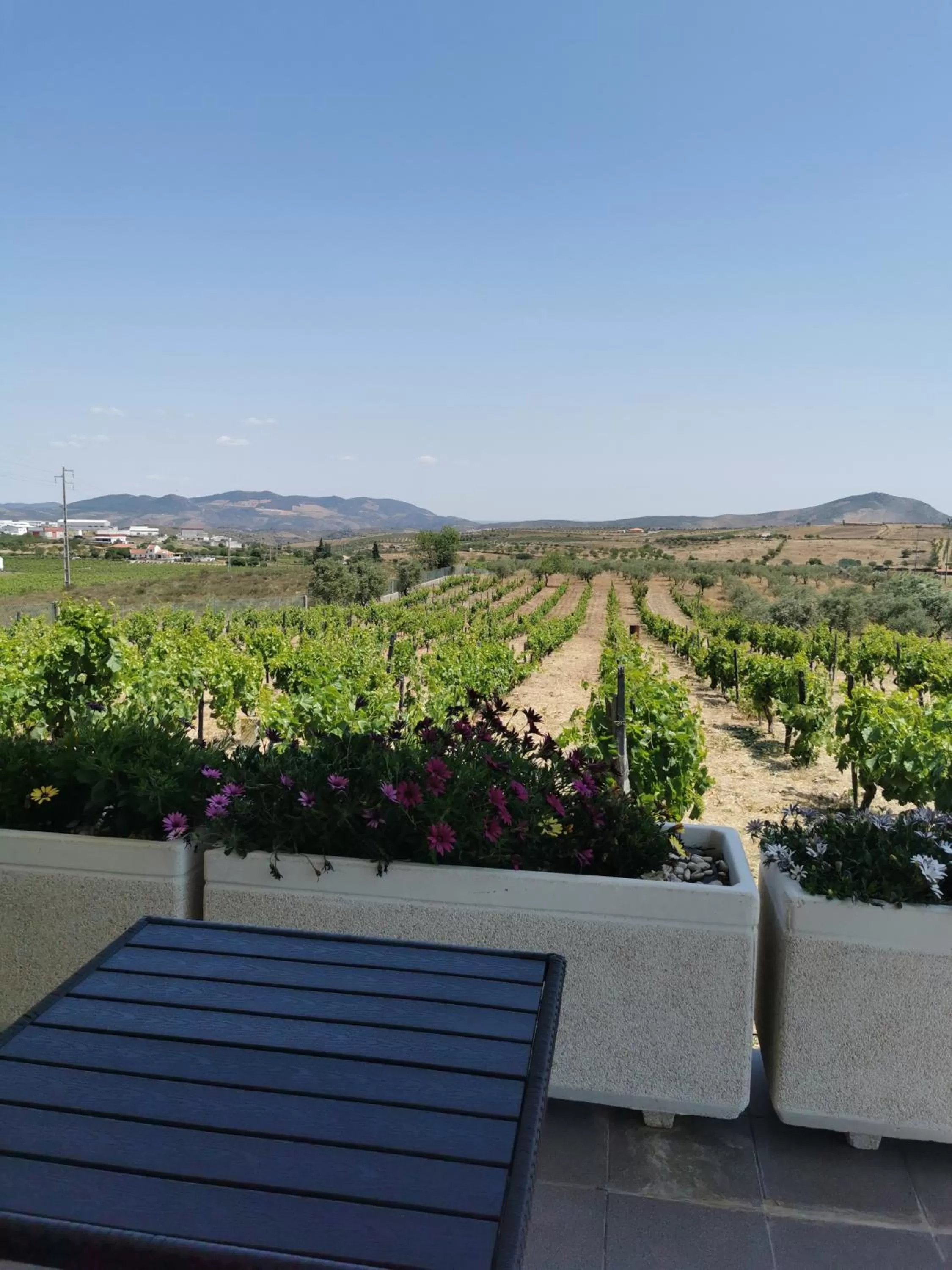 Natural landscape in A Flor da Rosa