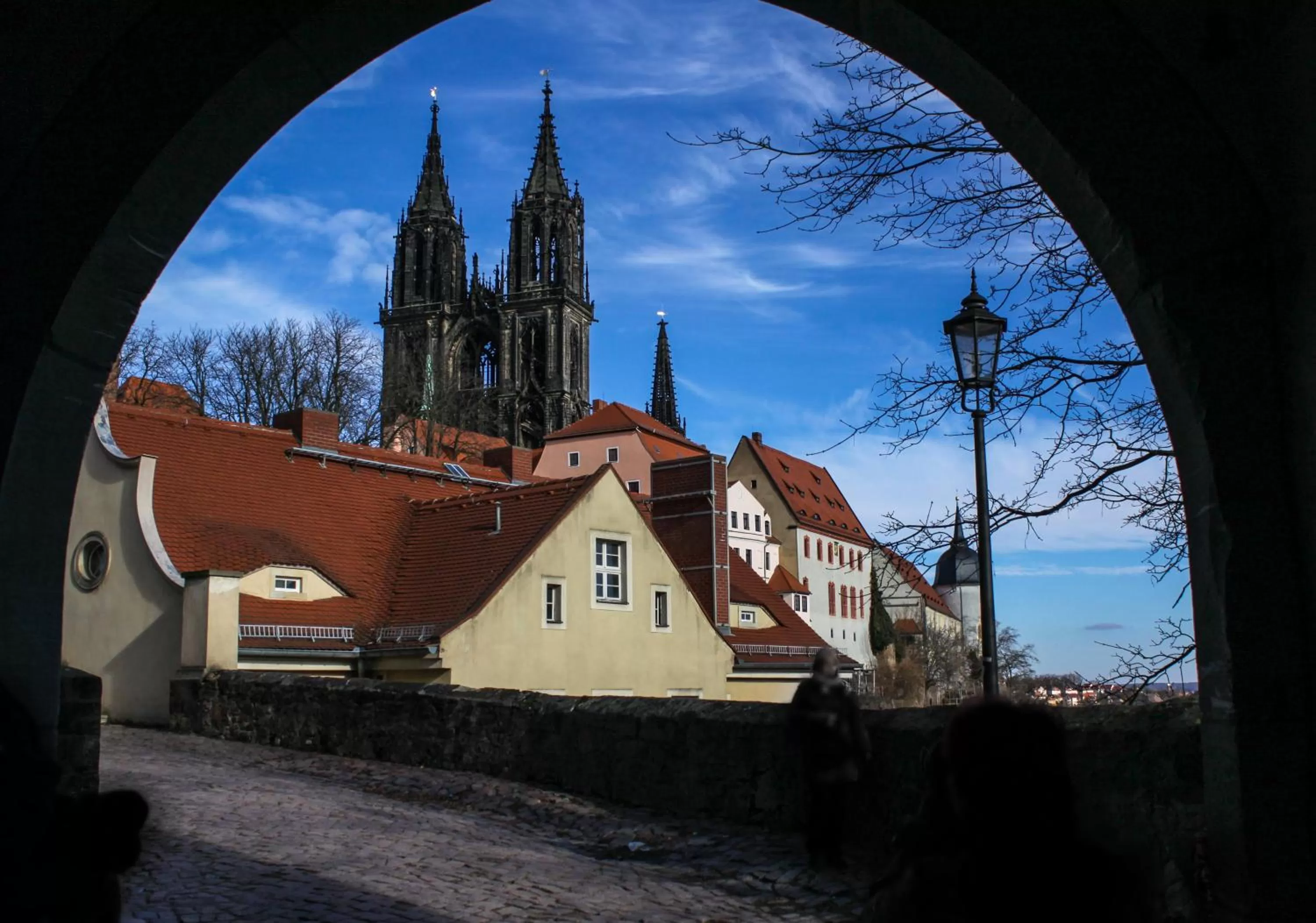 Natural landscape in WEST Hotel an der Sächsischen Weinstrasse