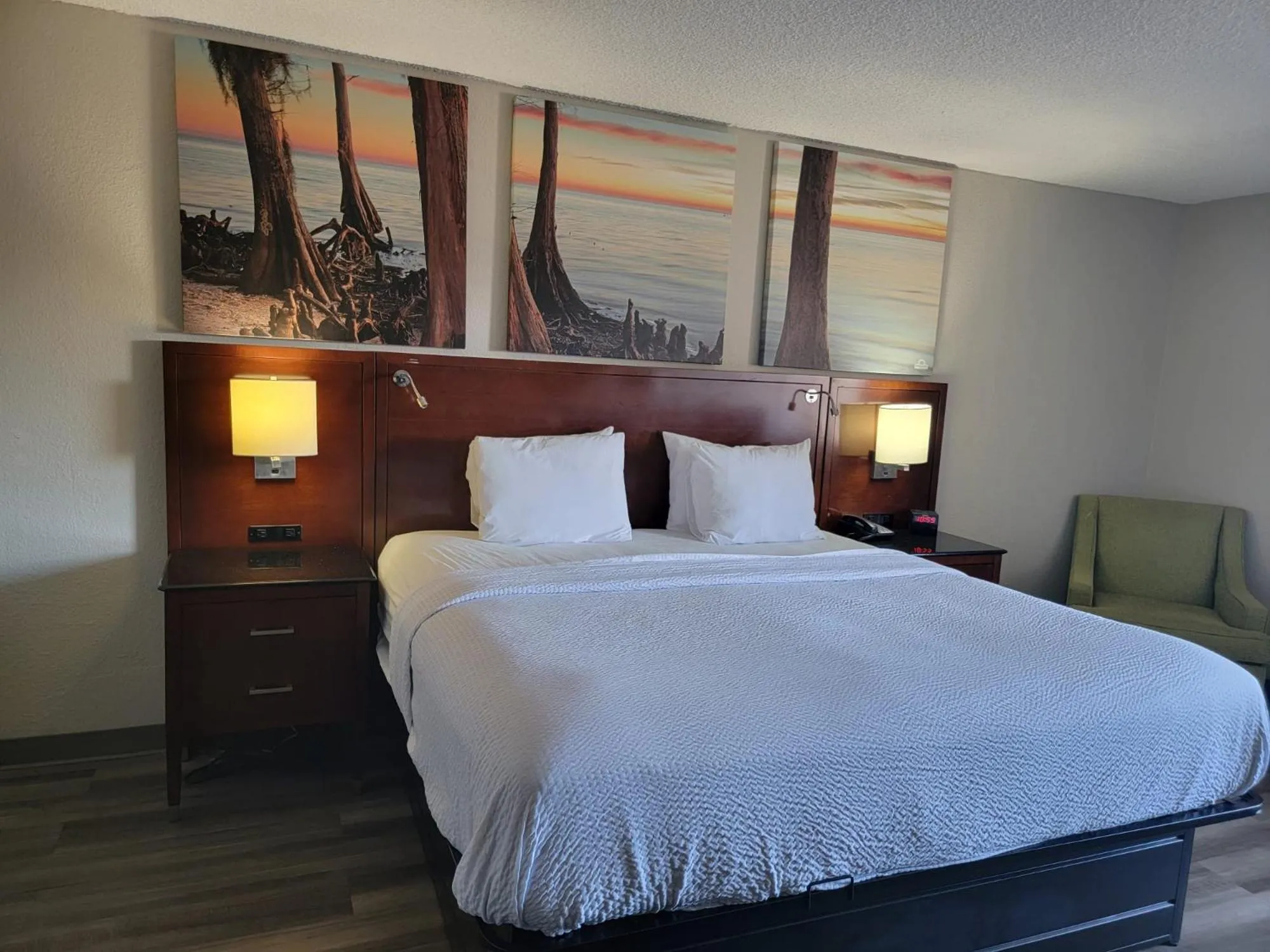 Bedroom in Days Inn by Wyndham Dothan