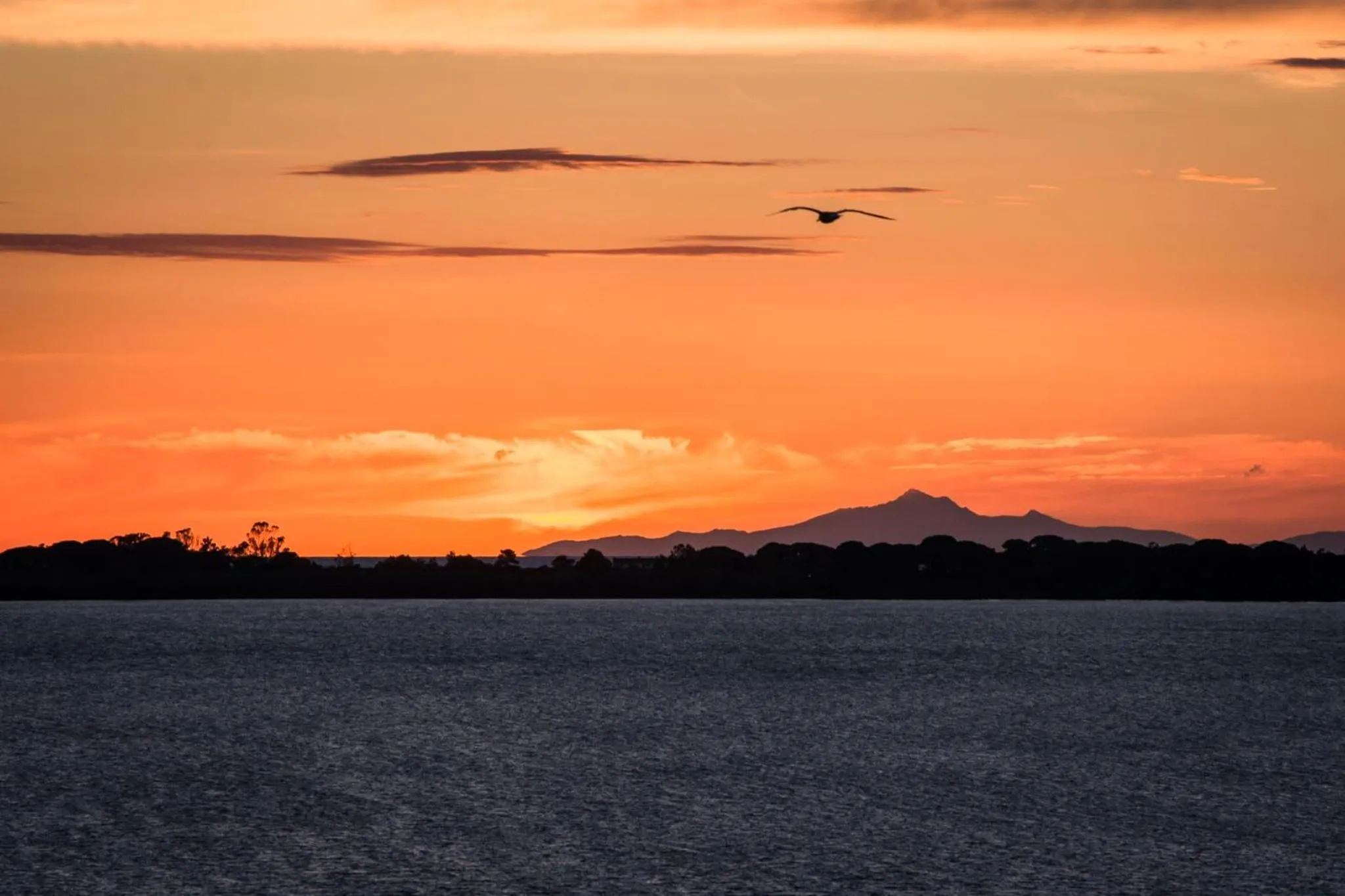 Natural landscape in Park Hotel Residence