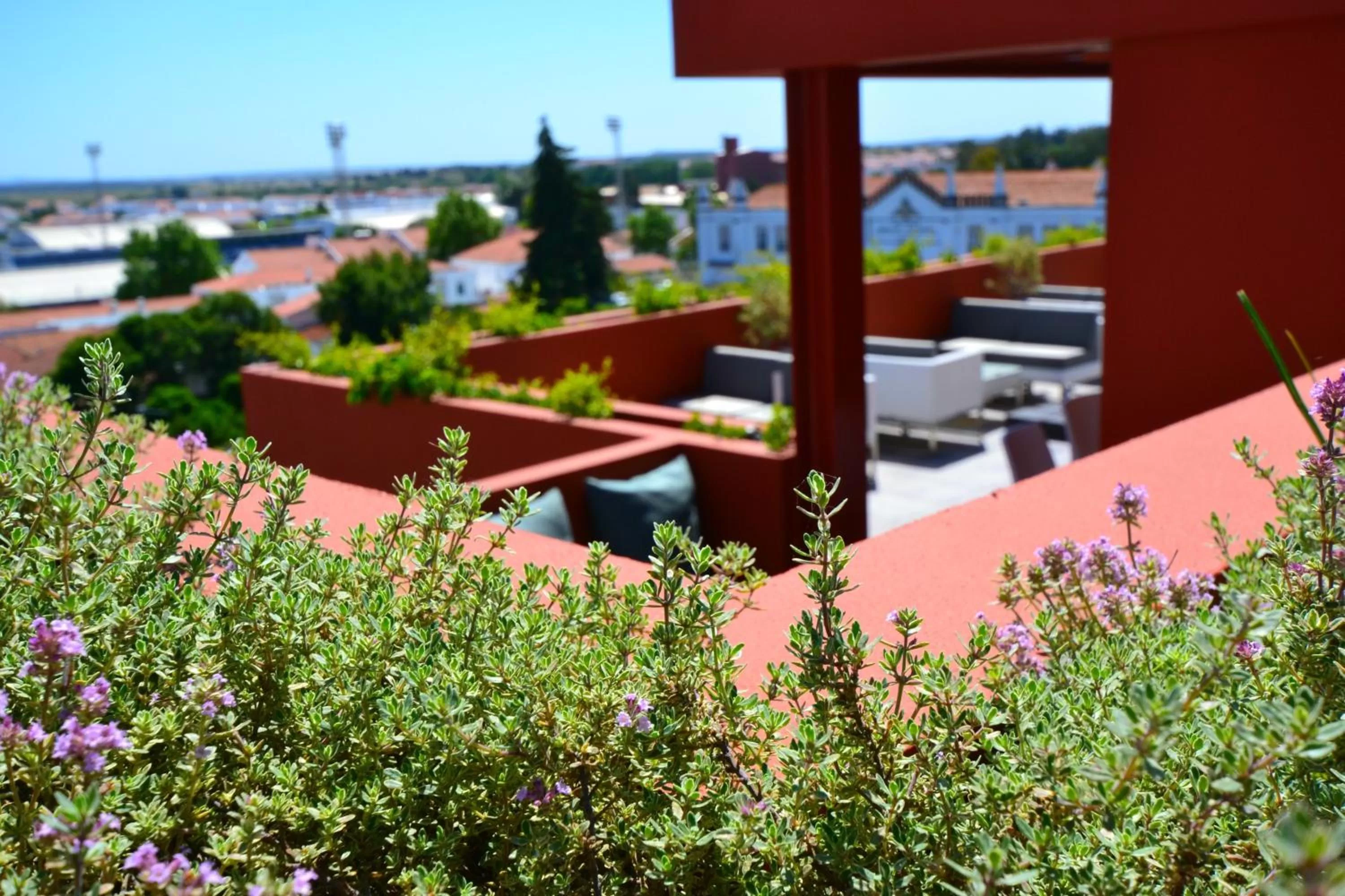 Garden in Vitoria Stone Hotel