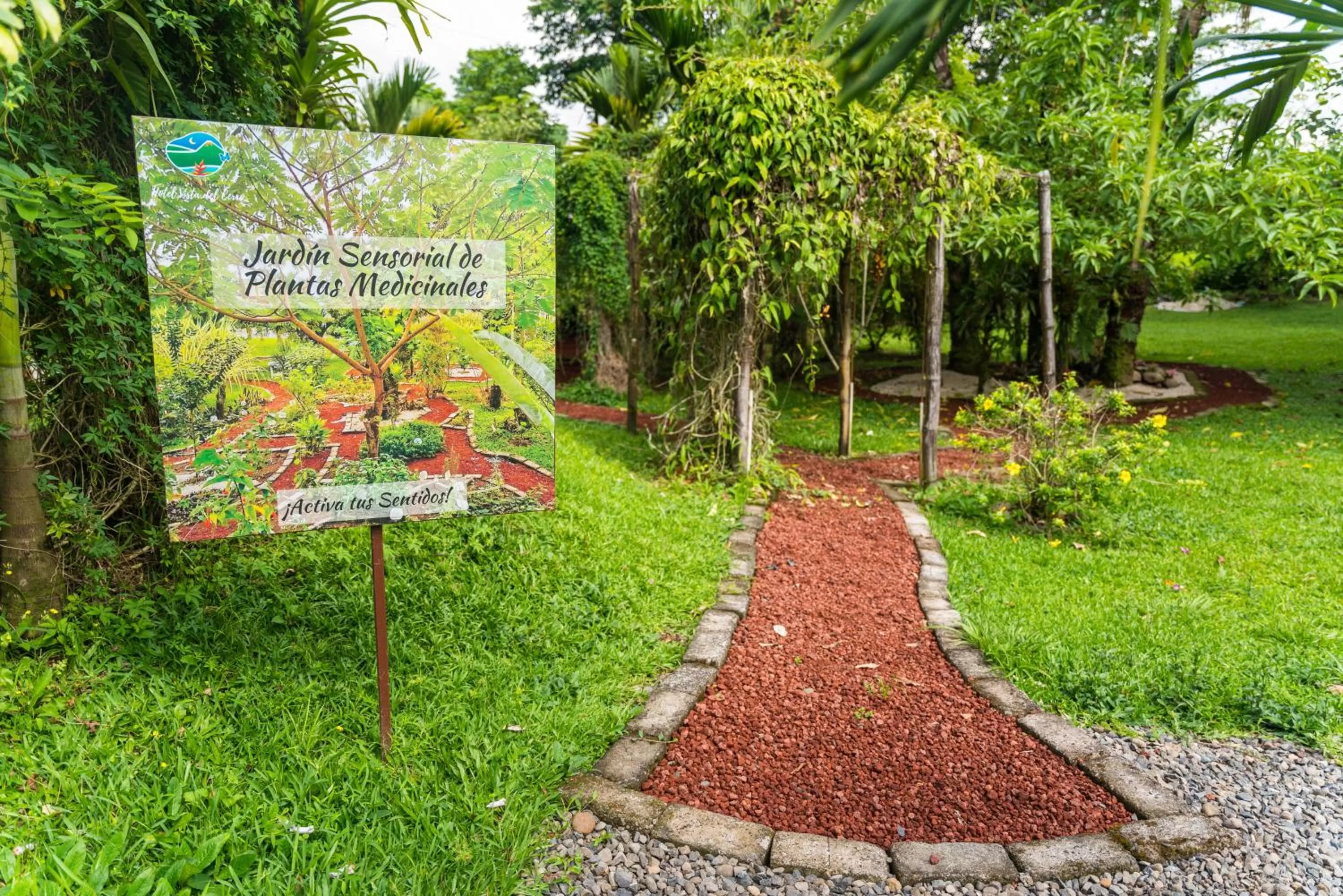 Garden in Hotel Vista del Cerro