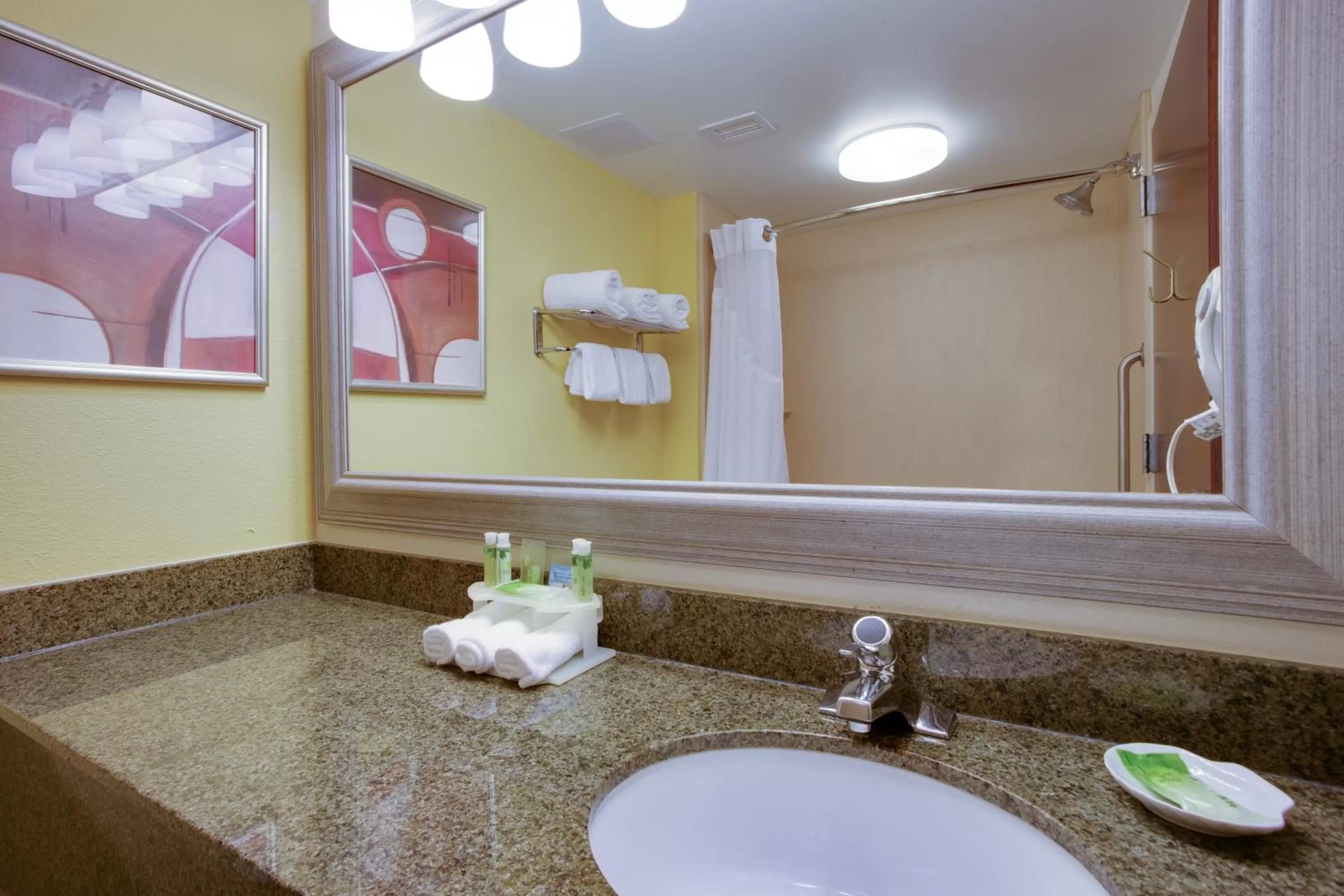 Bathroom in Holiday Inn Express Hotel & Suites Charleston - Northwoods by IHG