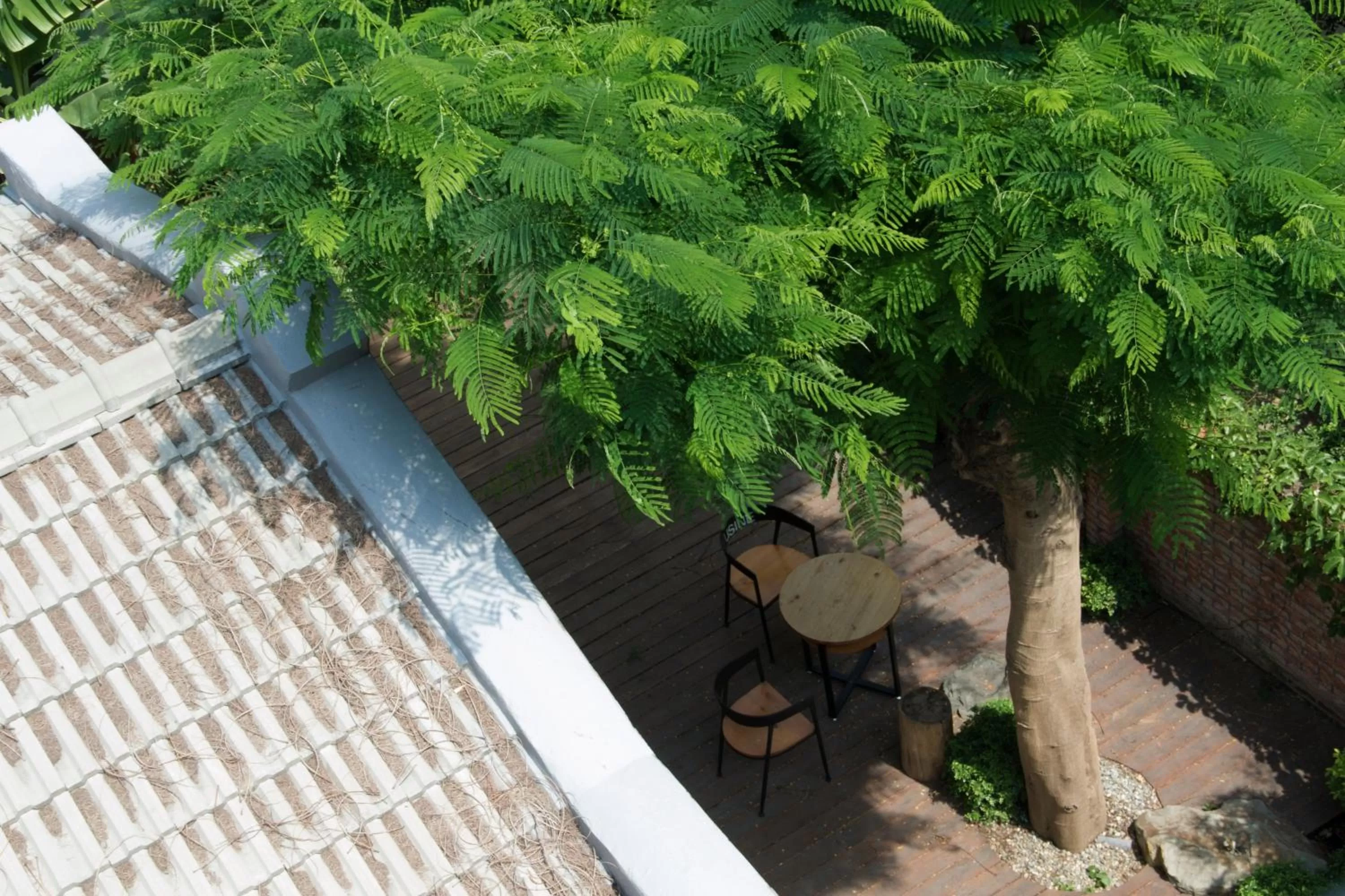 Patio in Alley X Tainan