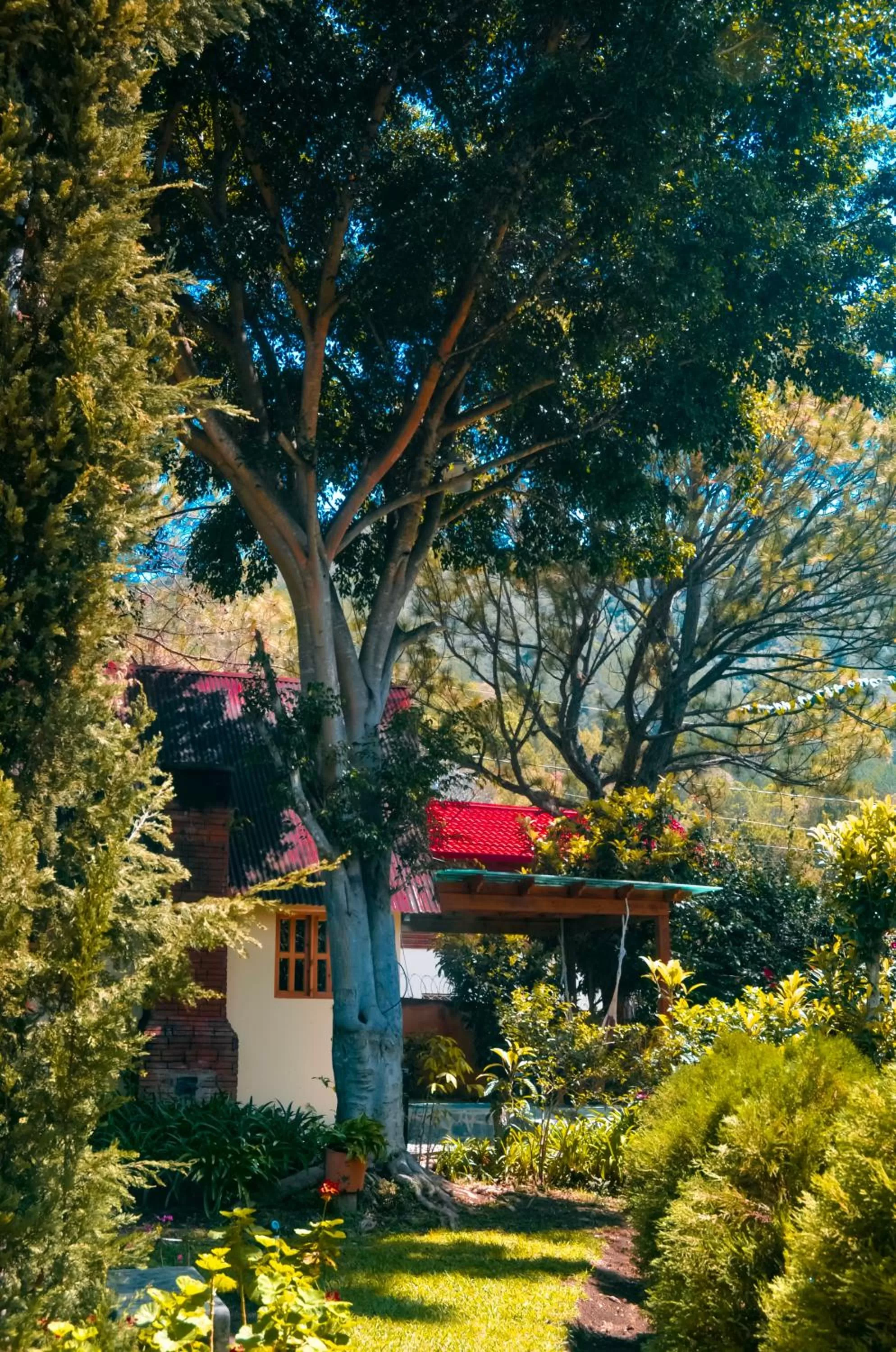 Other in Hotel Rancho Constanza & Cabañas de la Montaña