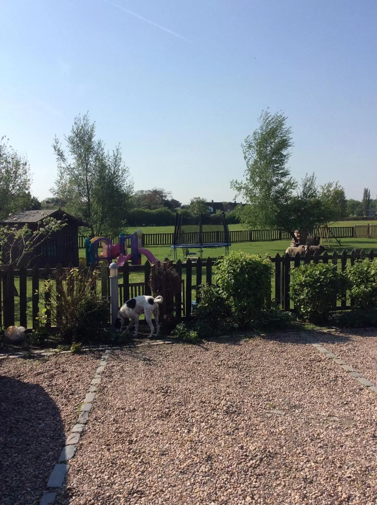 Garden in The Barn Bed and Breakfast