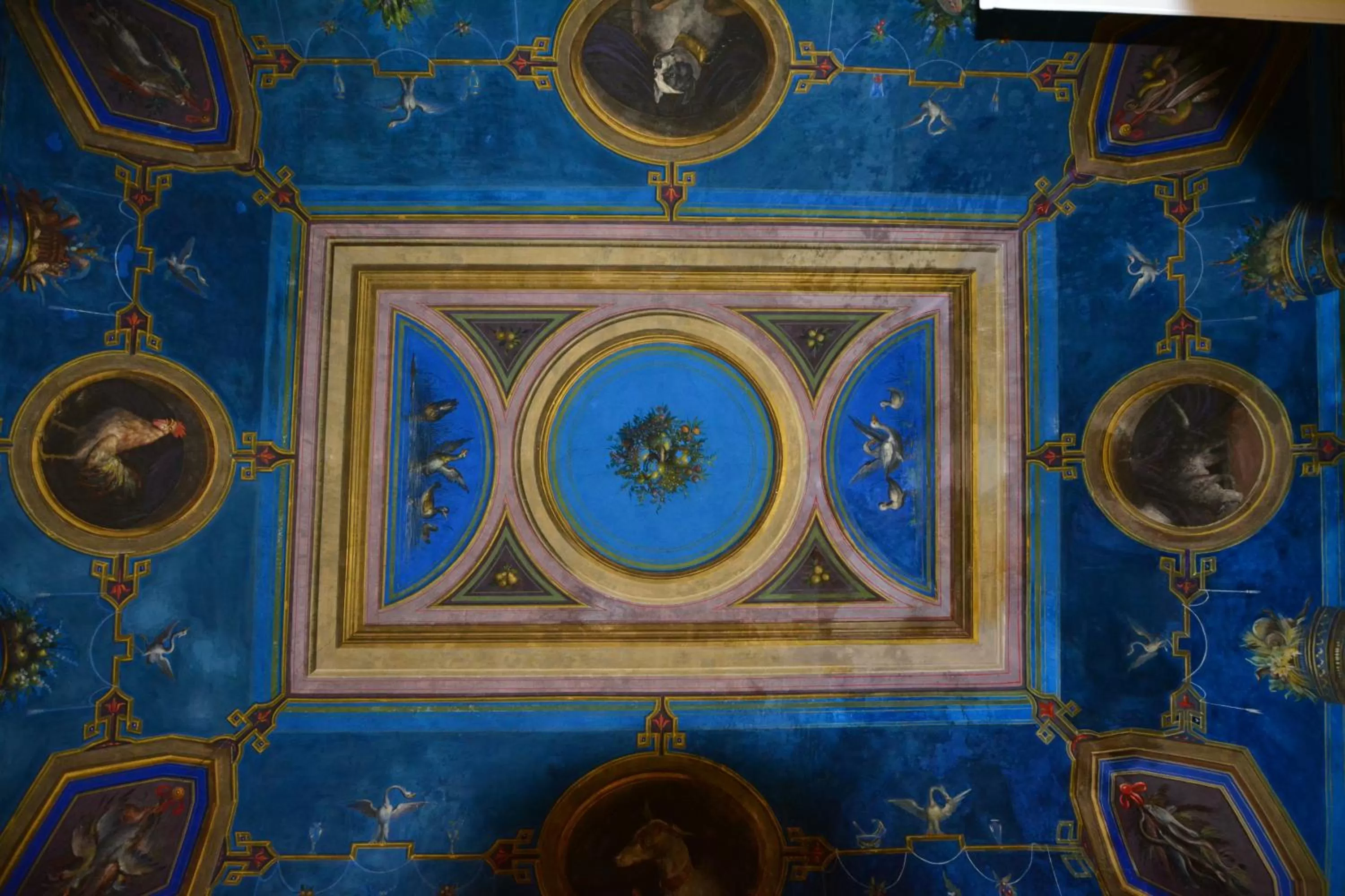 Other in Family Hotel Balbi