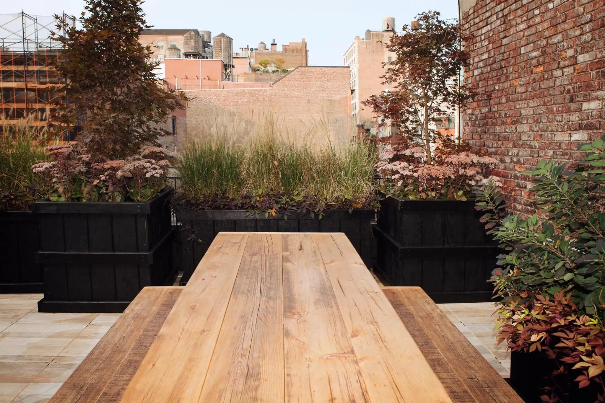 Balcony/Terrace in The Broome