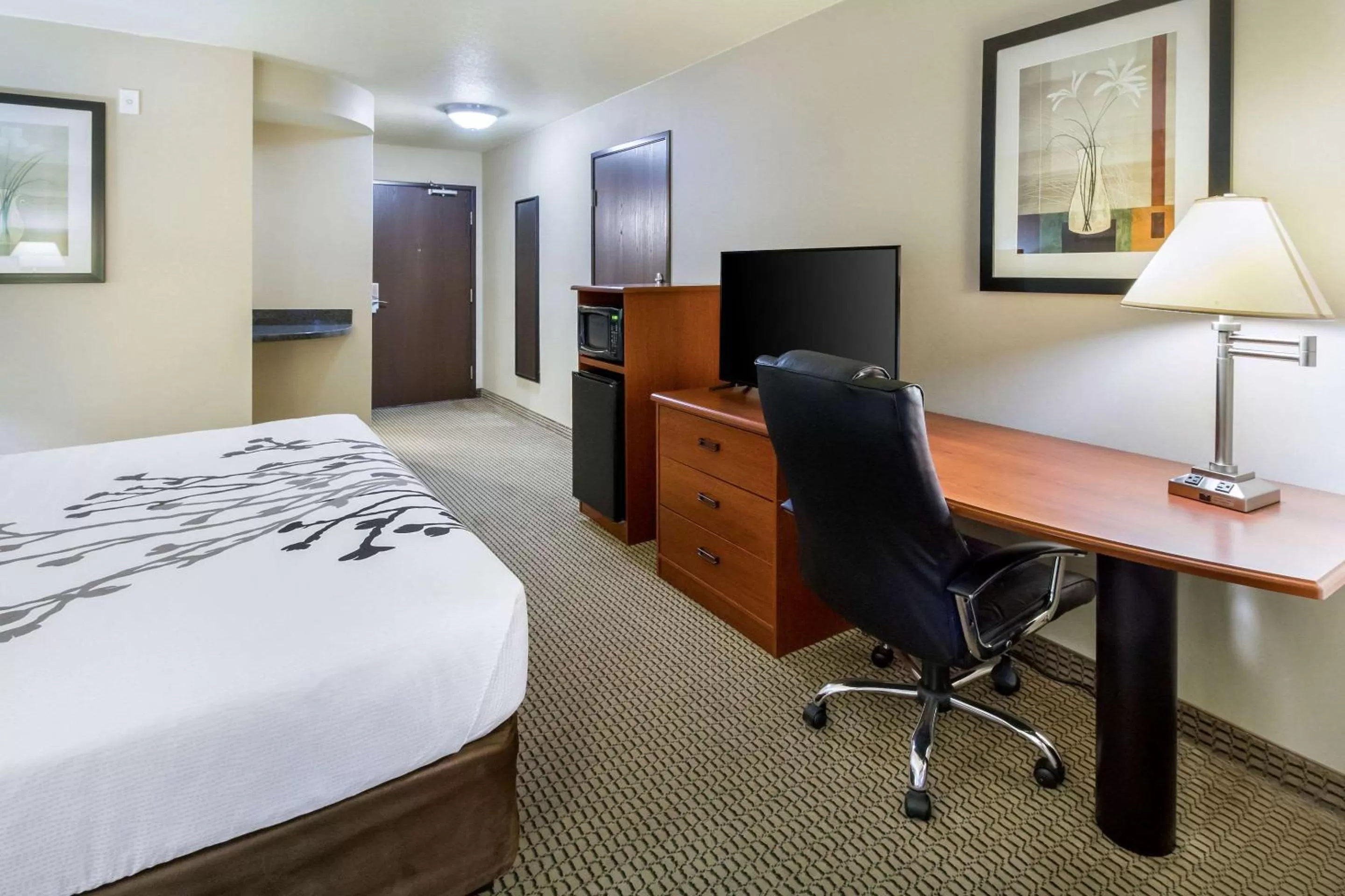 Photo of the whole room, Bed in Sleep Inn & Suites