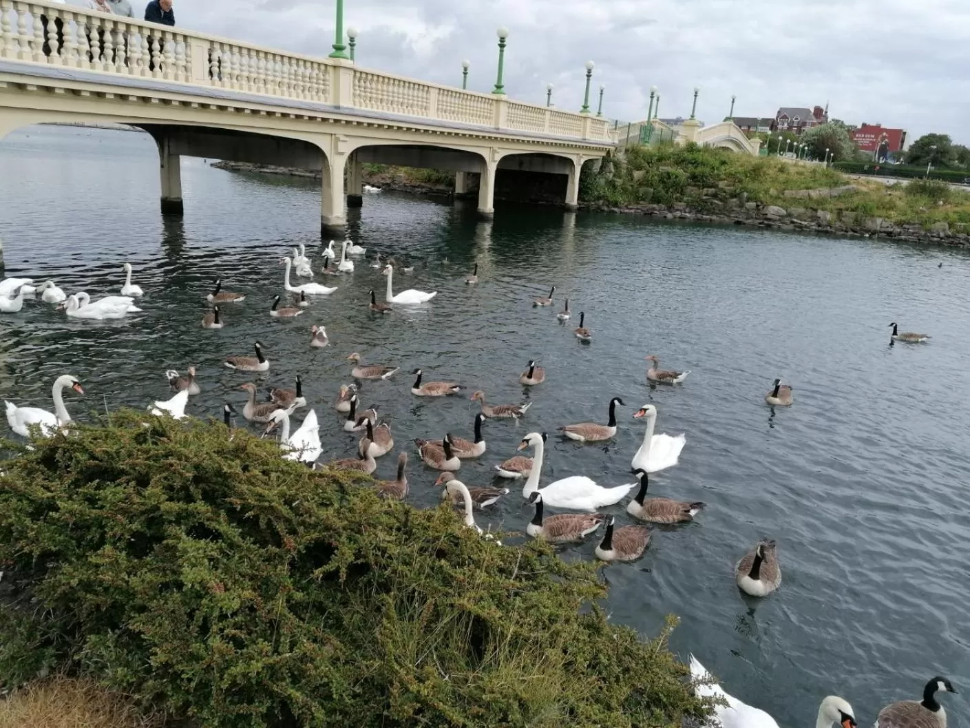 Activities in Edendale House