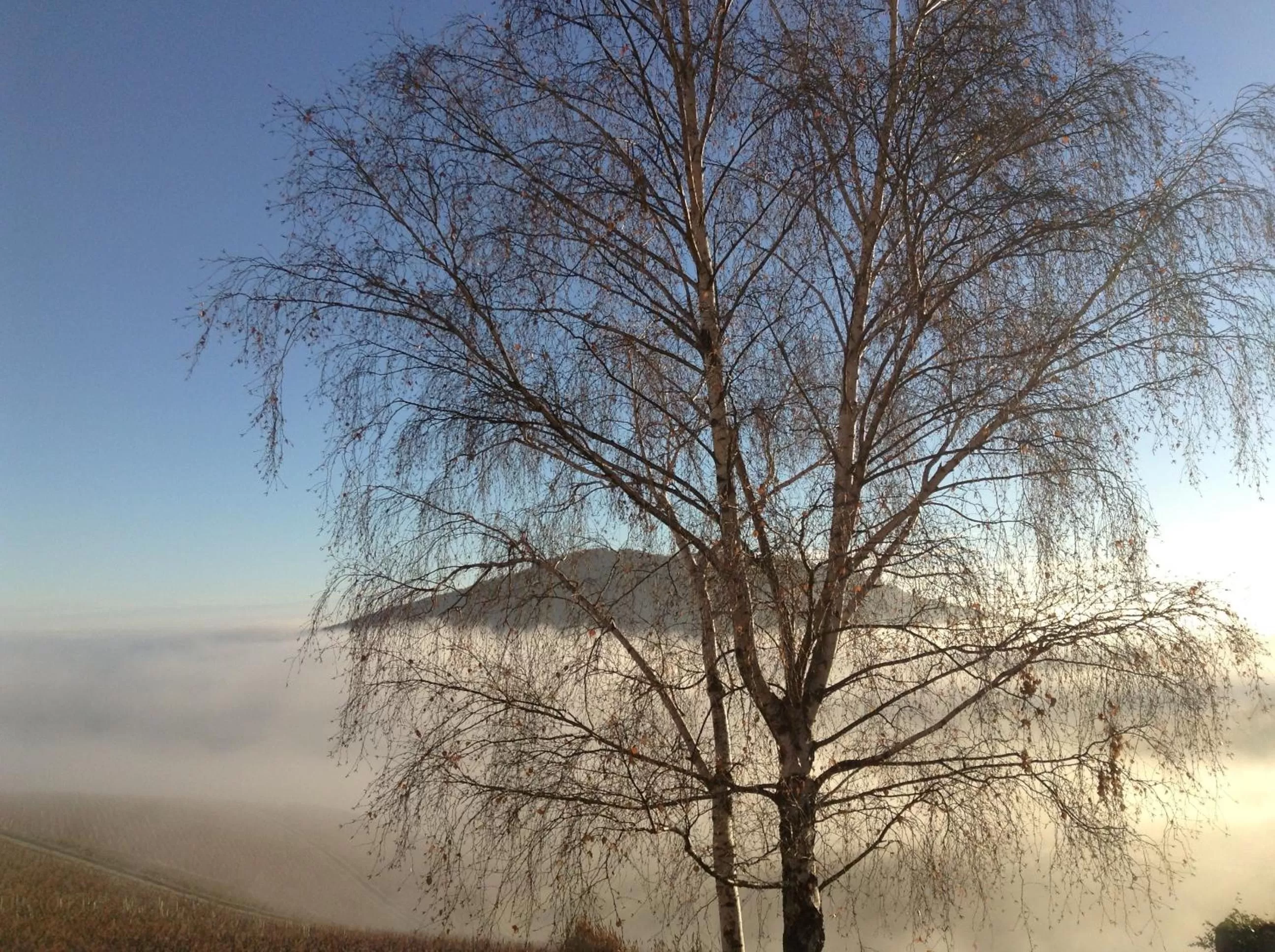 View (from property/room), Winter in La Croix de Saburin