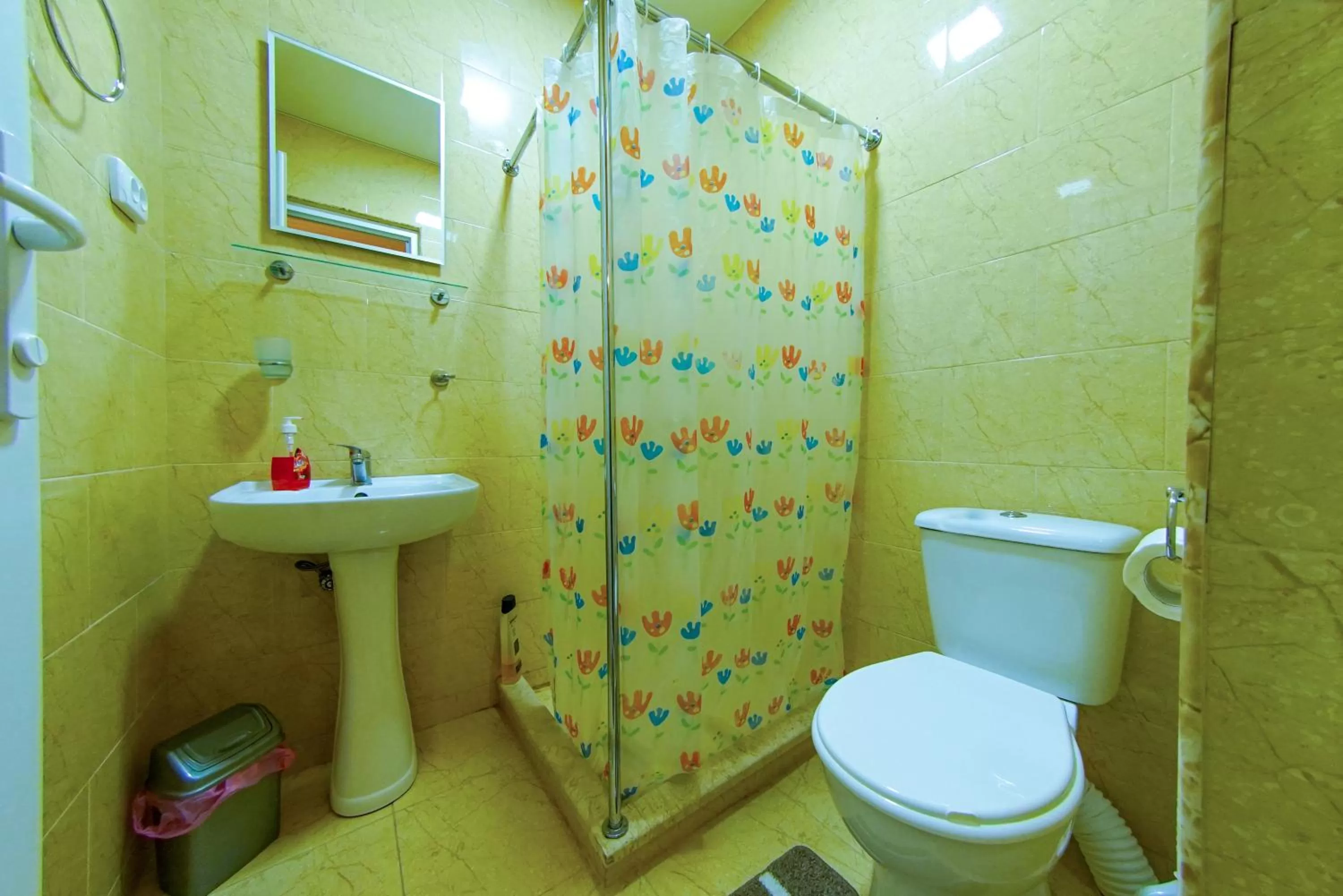 Bathroom in House 1899