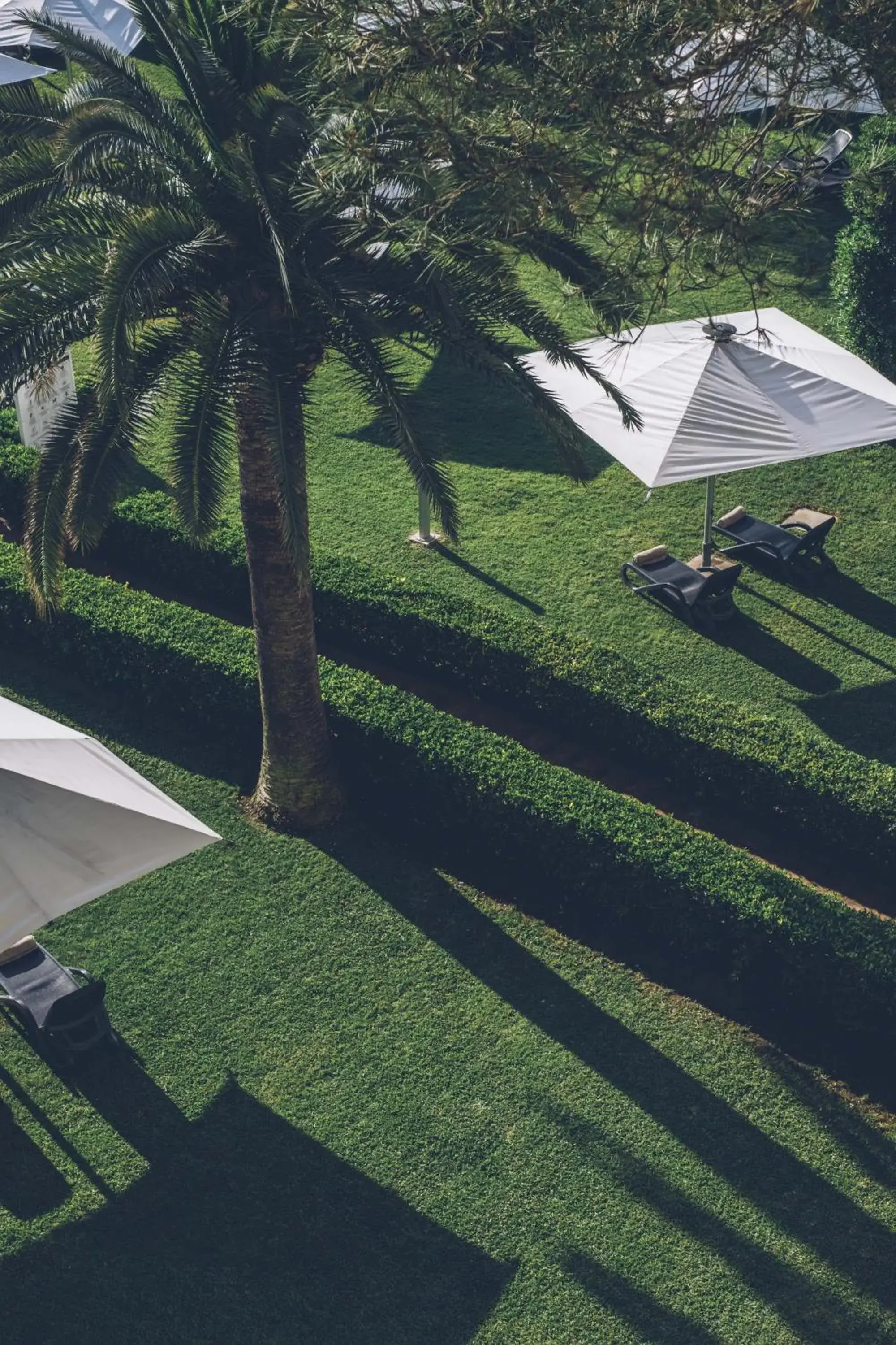 Single Room in AYA Seahotel Single Room in AYA Seahotel