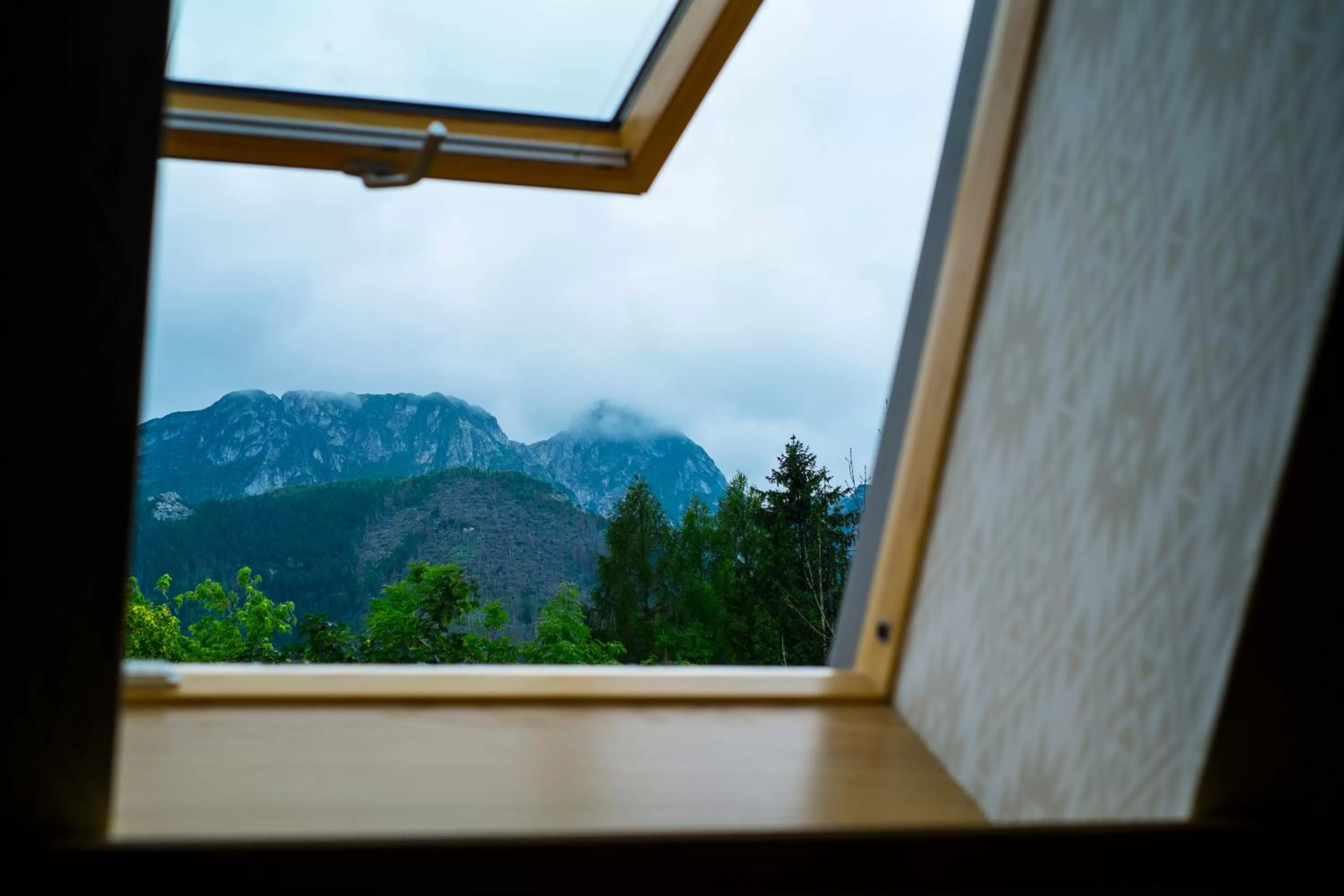 Mountain view in Villa Belweder