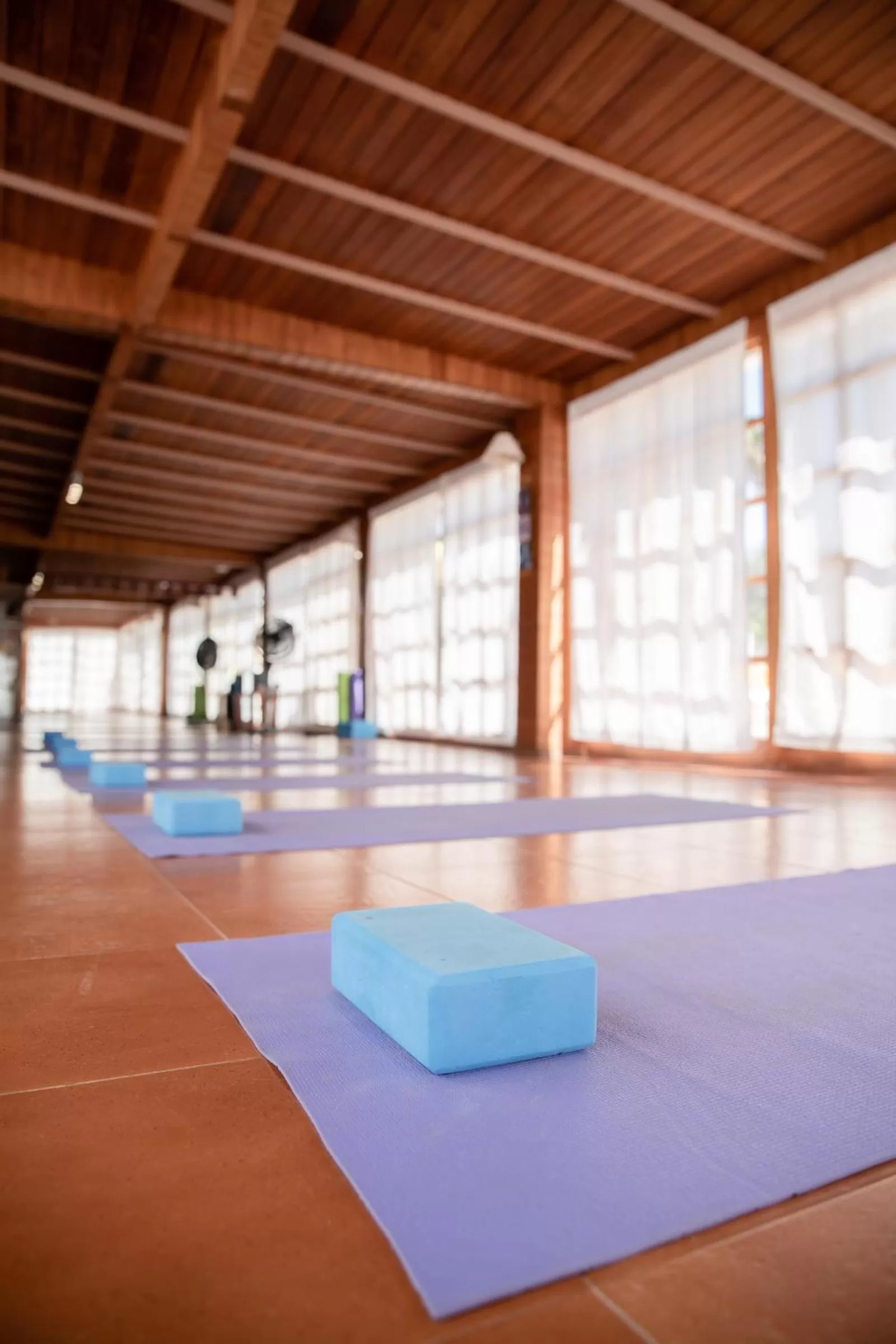 Activities in Fuentepark Apartments