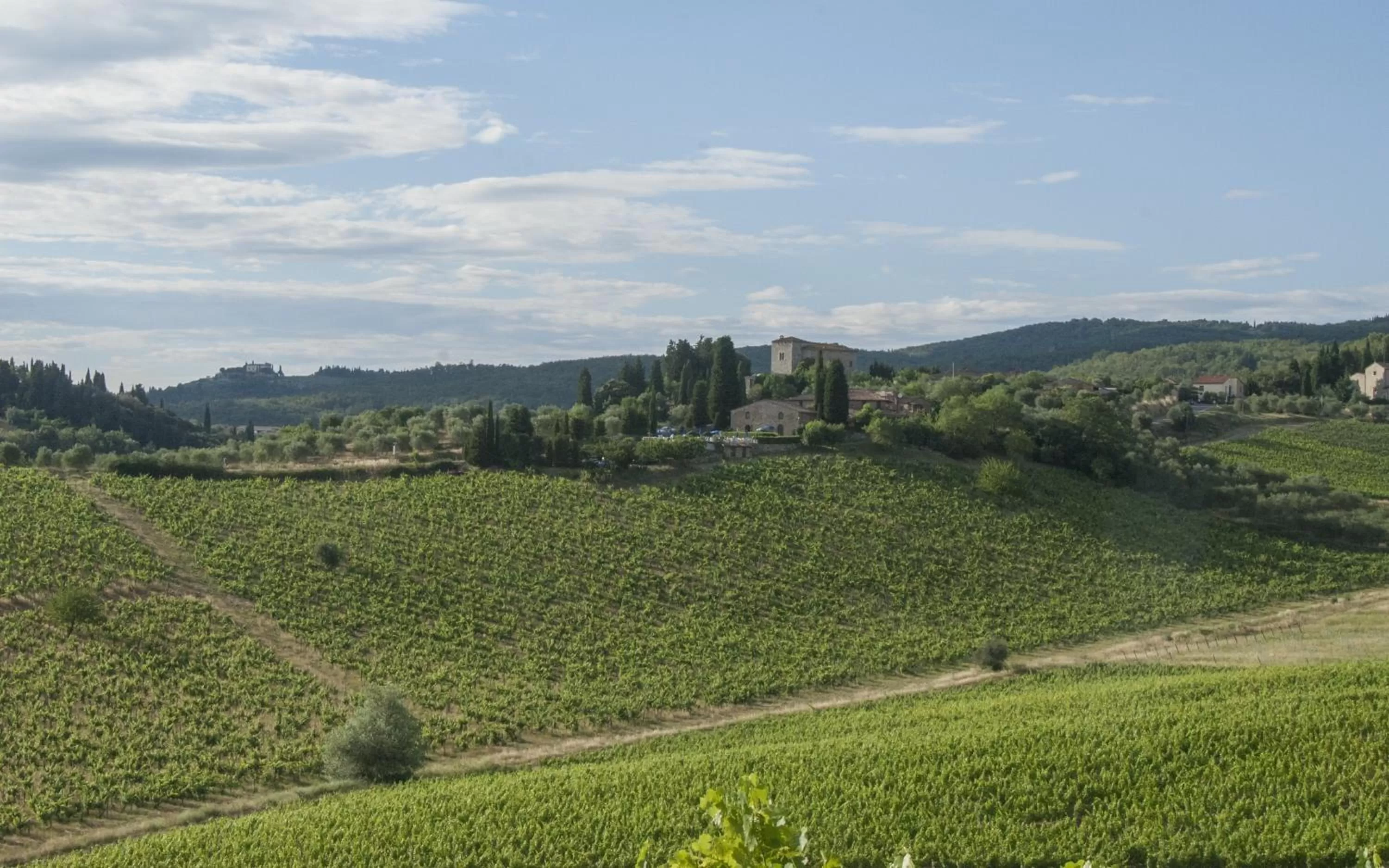 View (from property/room) in Hotel Belvedere Di San Leonino