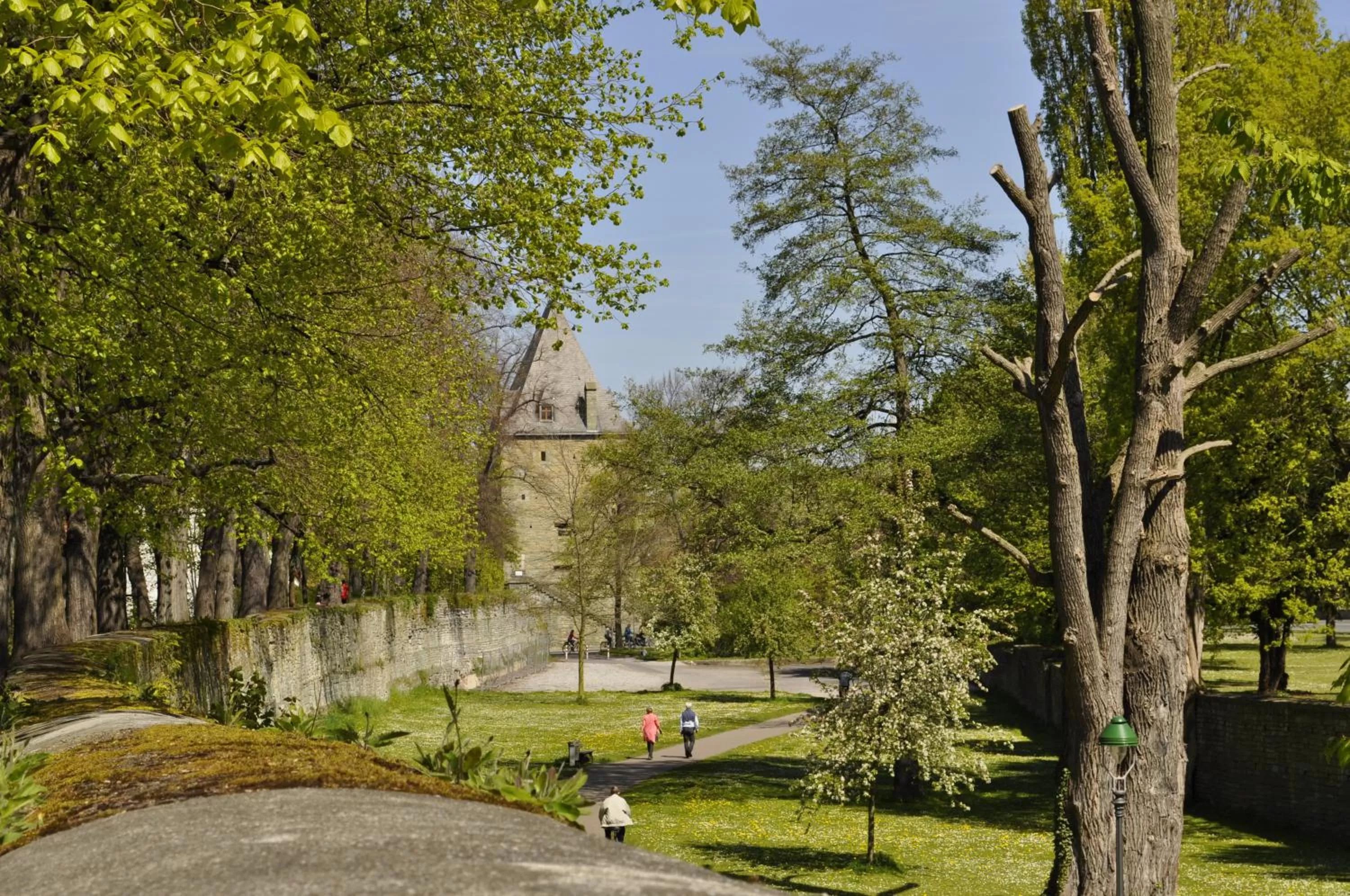 Garden view in Hotel am Wall