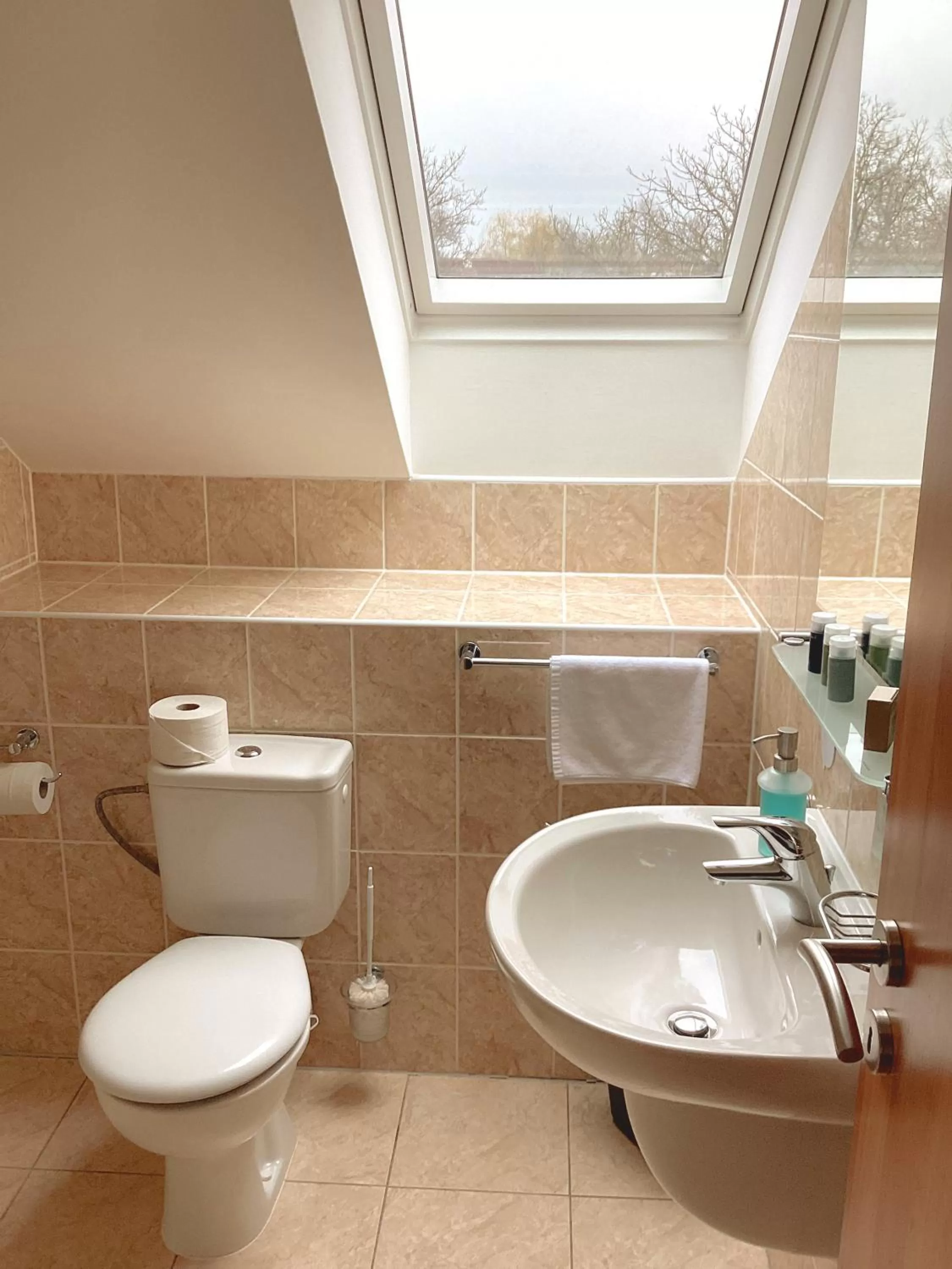 Toilet in Hotel Karolina