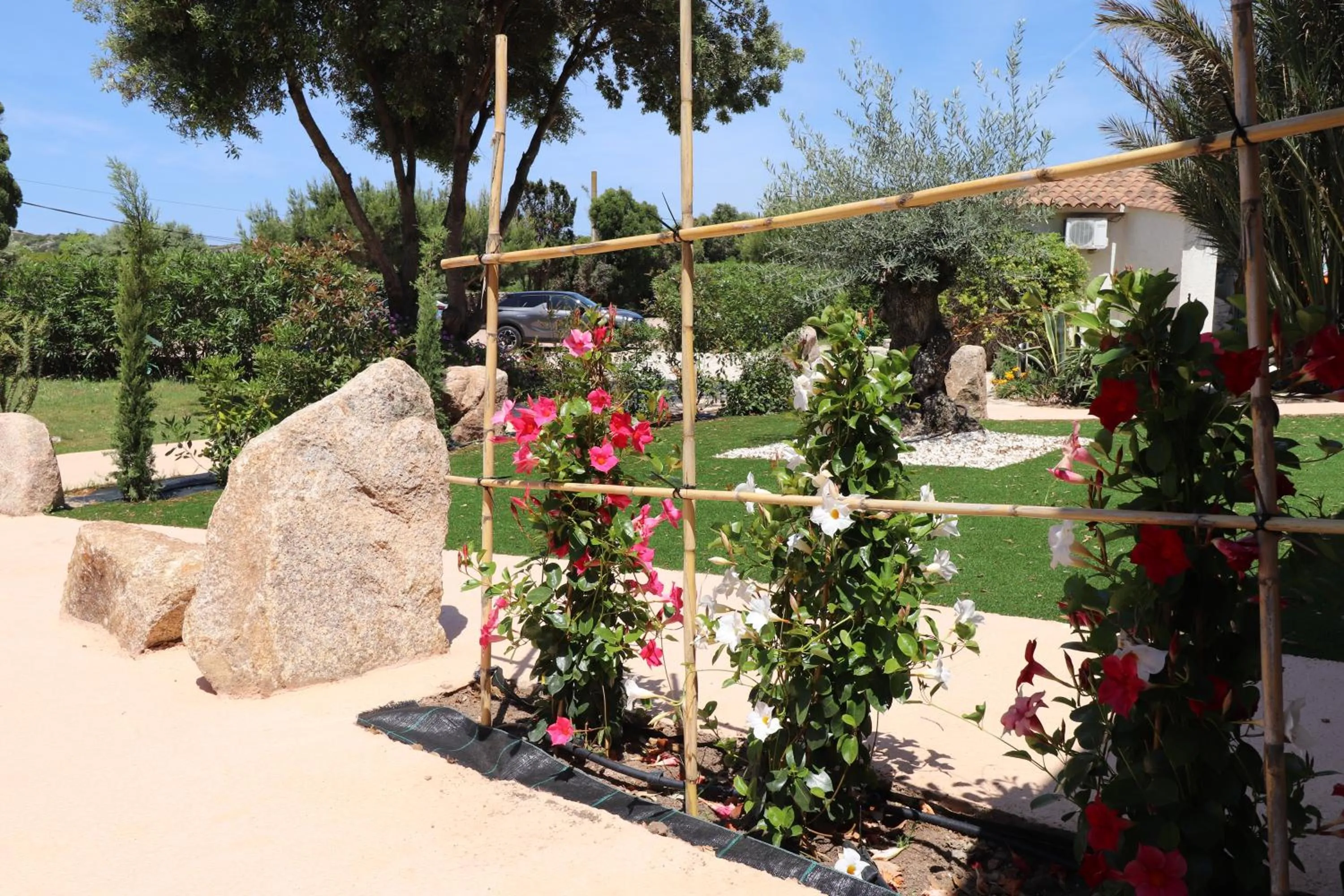 Natural landscape in Hôtel Padolo