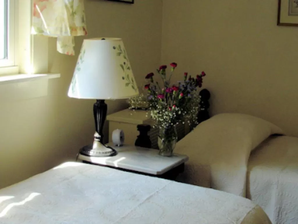 Standard Twin Room in Spruce Moose Lodge