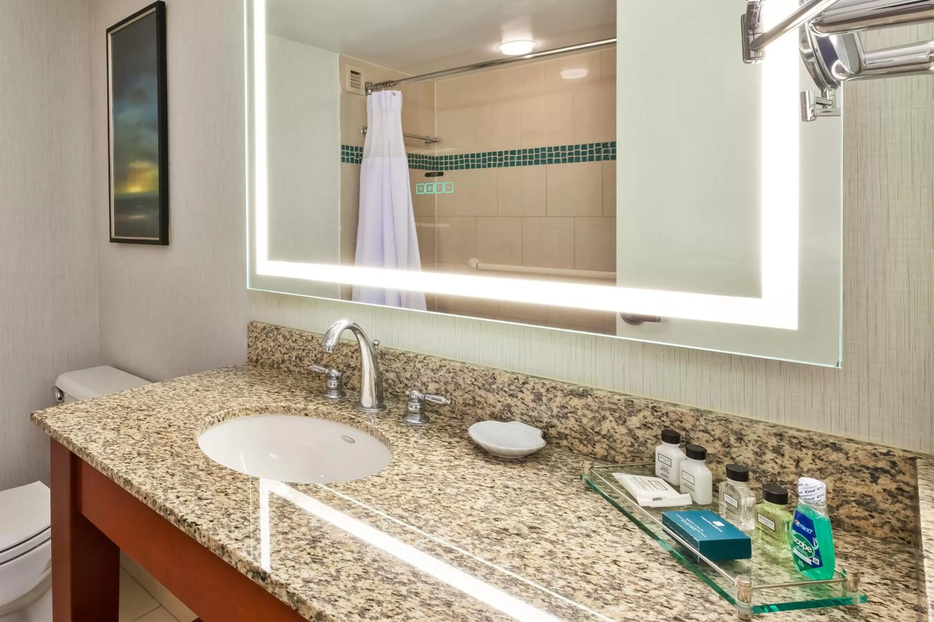 Bathroom in Crowne Plaza Dulles Airport by IHG