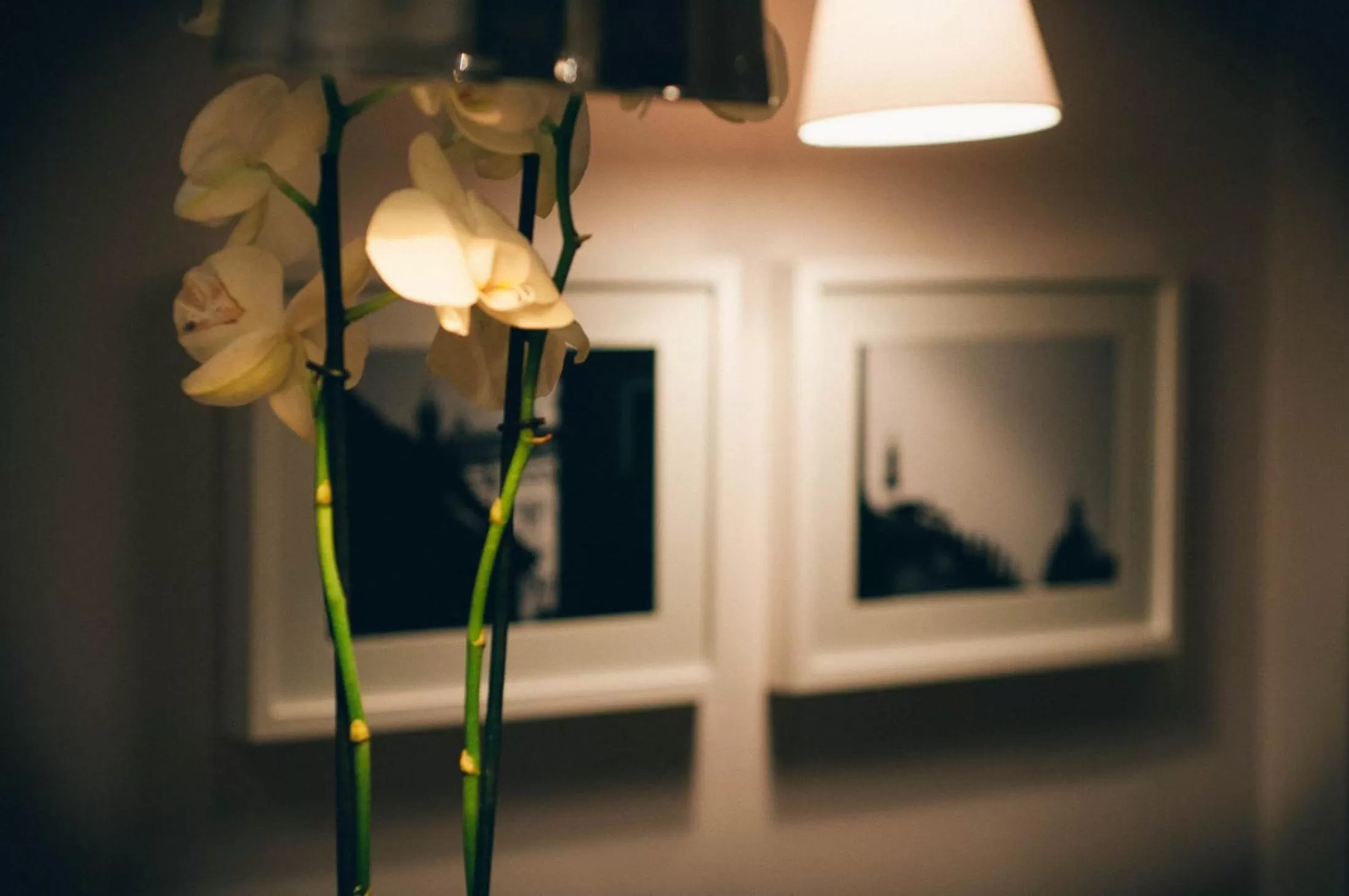 Decorative detail in All'Orologio