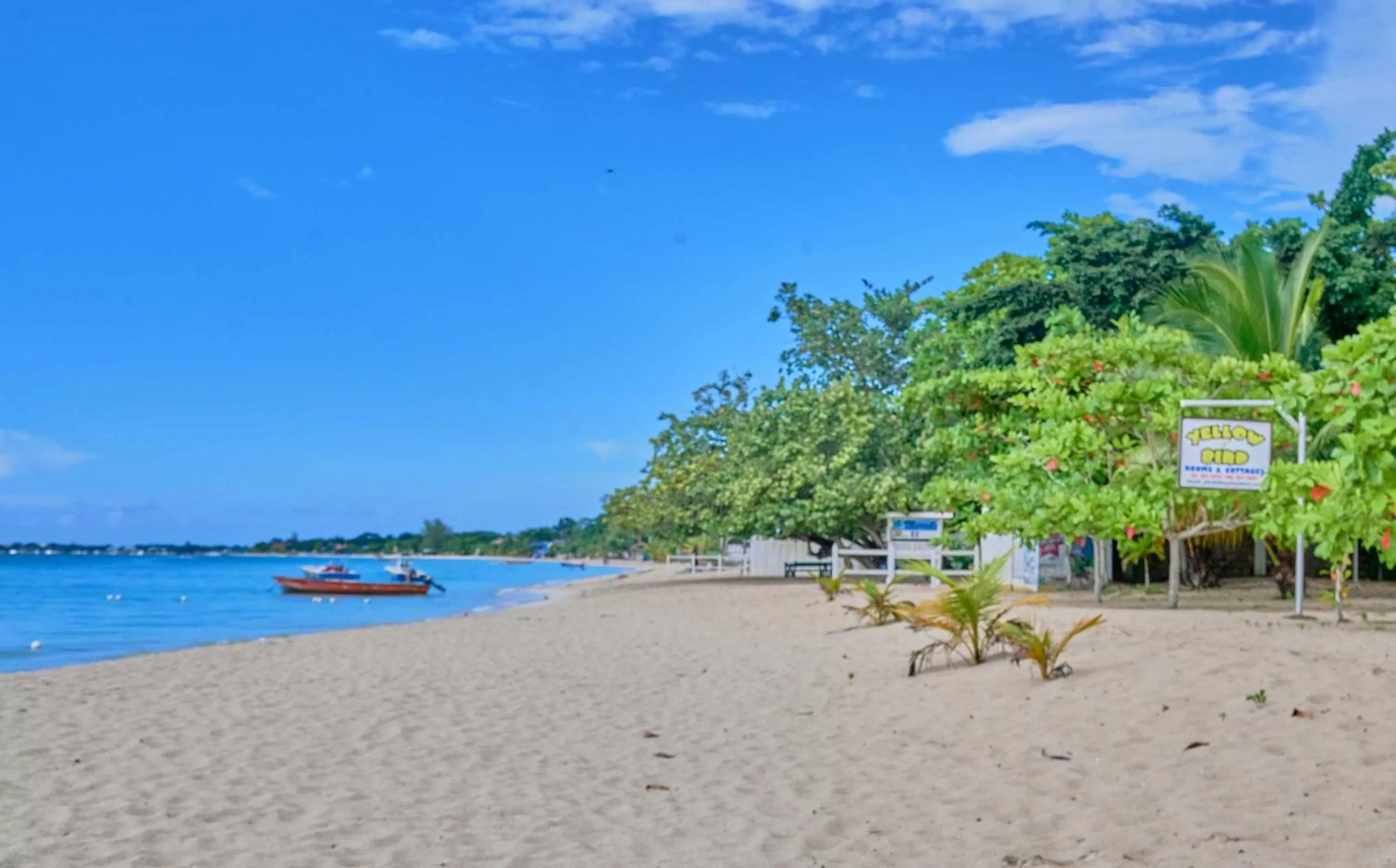 Beach in Yellow Bird Sea
