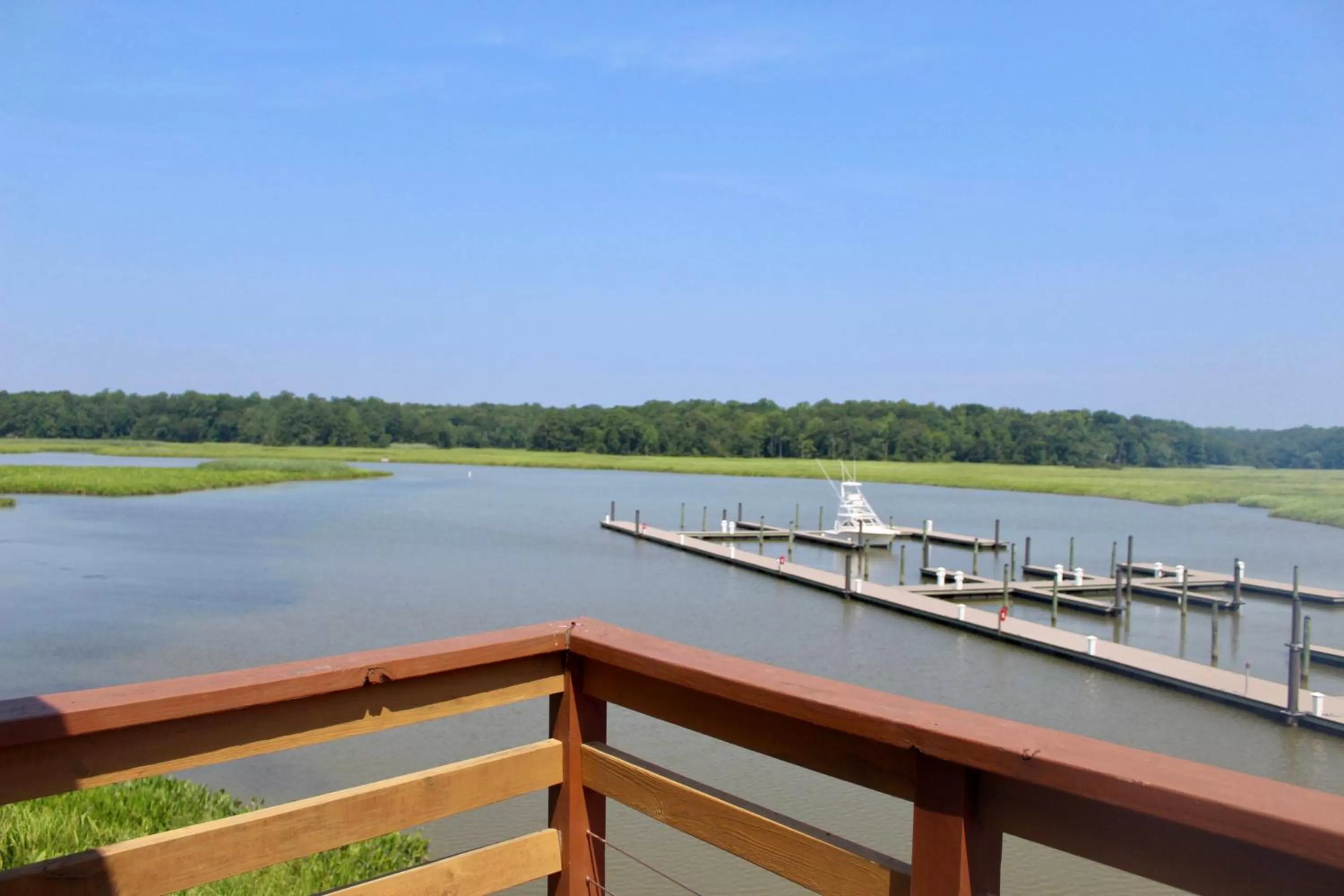 River view in Surry Seafood Company