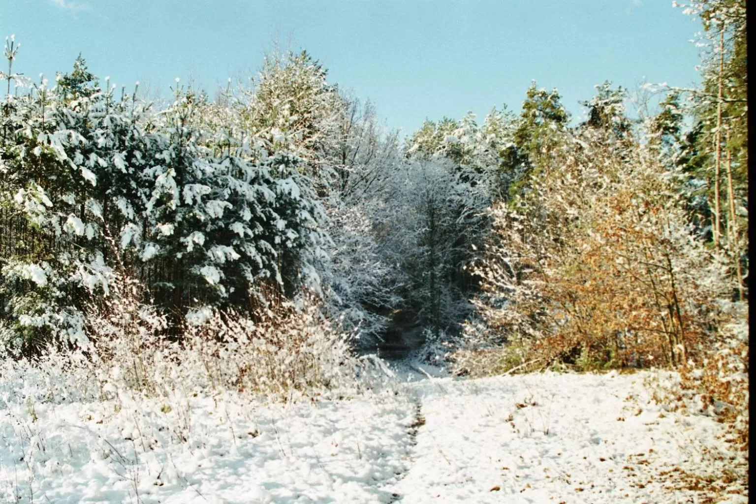 Landhaus Waldfrieden