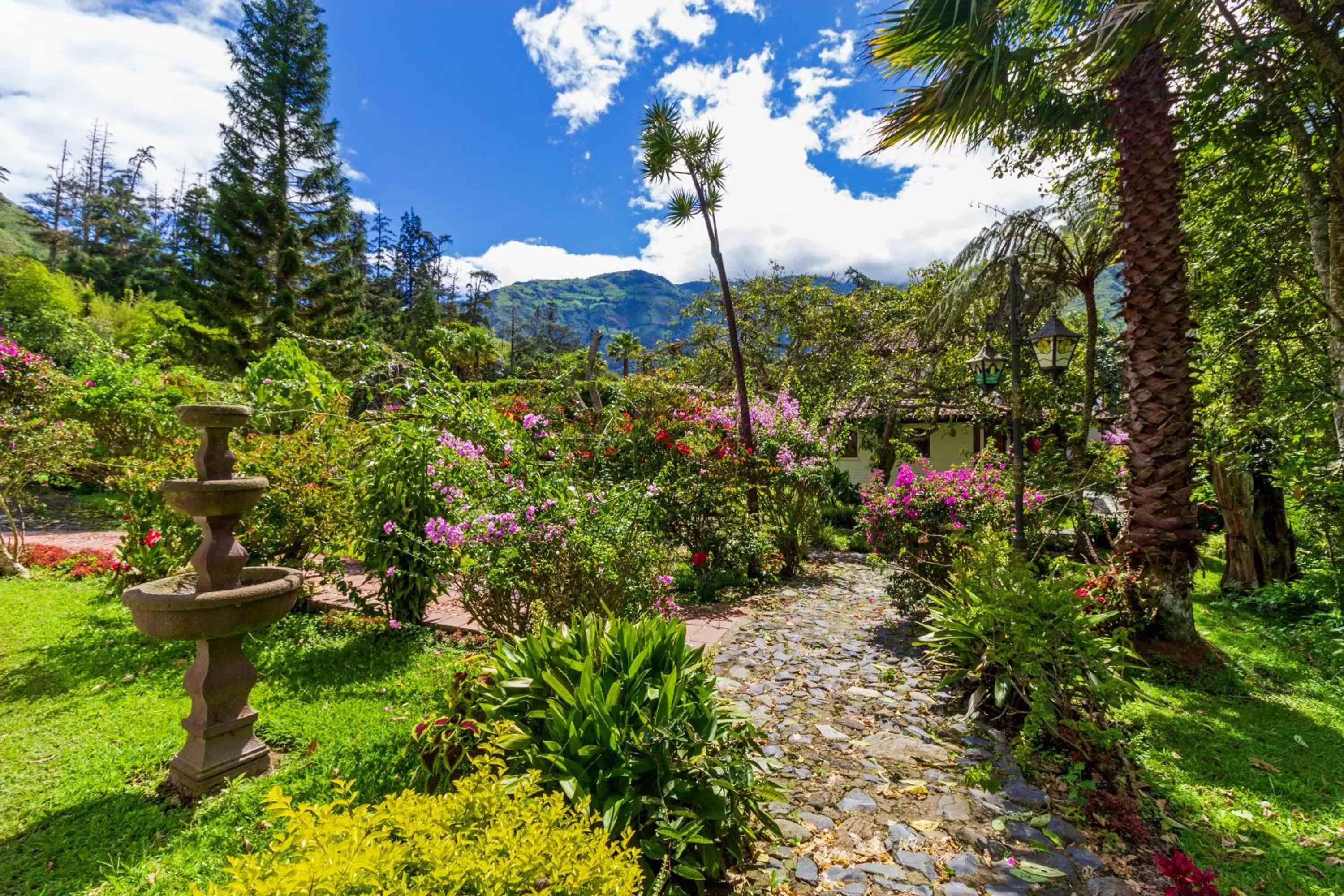 Garden in Samari Spa Resort
