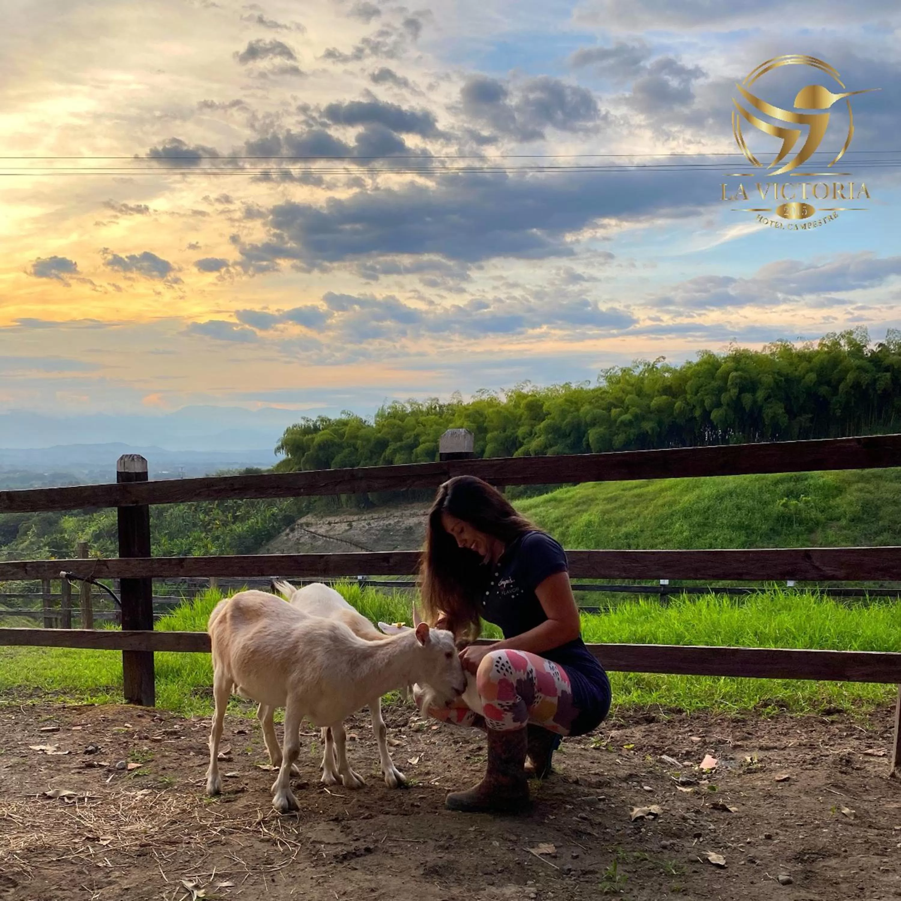 Pets in La Victoria Hotel Campestre