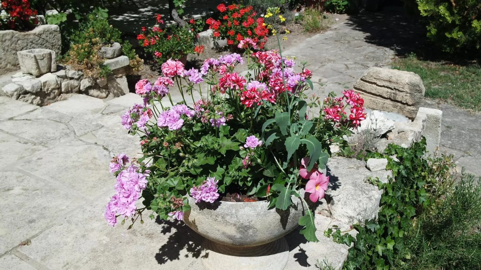 Garden in Mas Grimaud - Gîte- Studio et chambres d'hôtes familiales