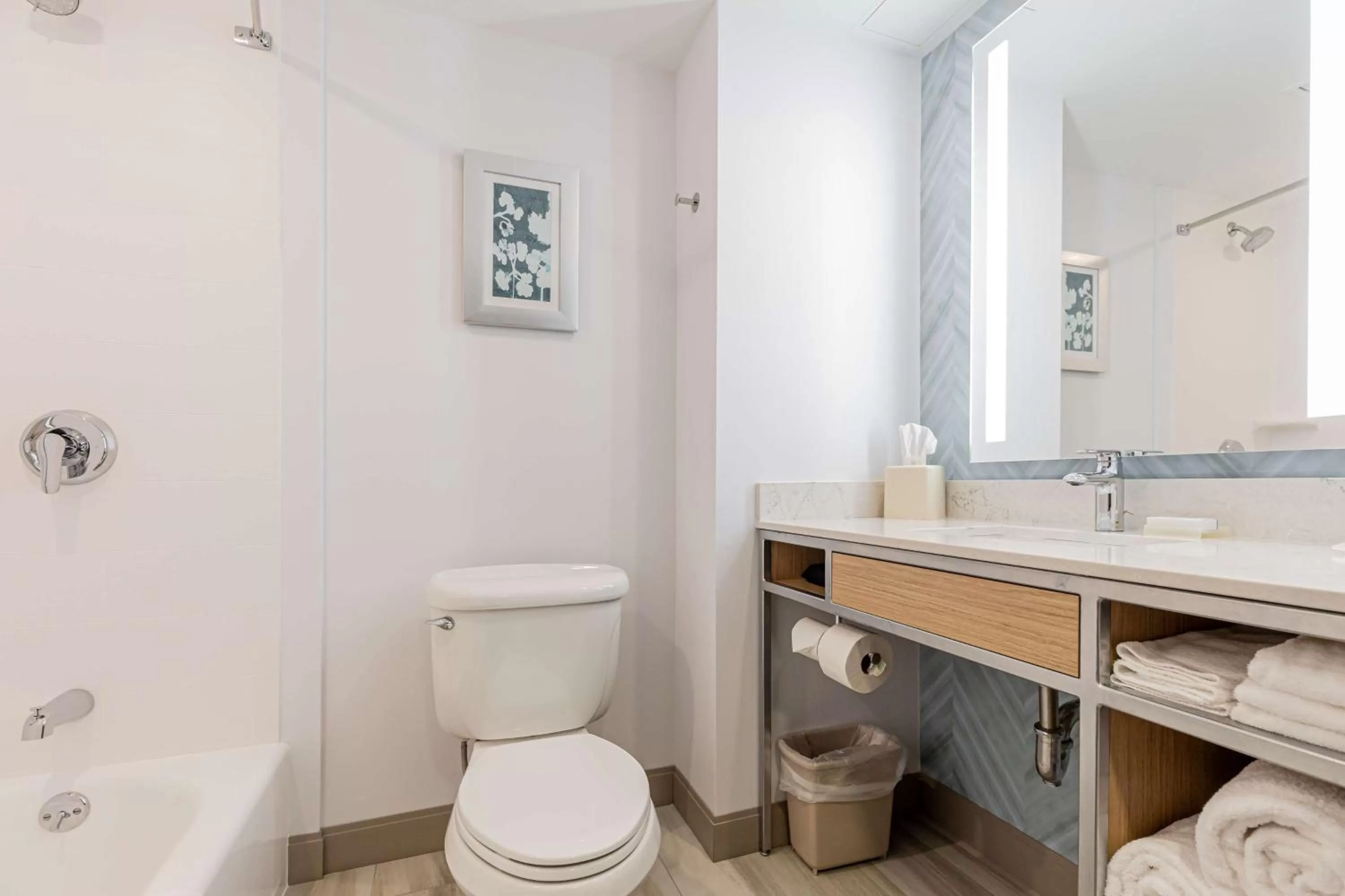 Bathroom in Hilton Garden Inn Ithaca