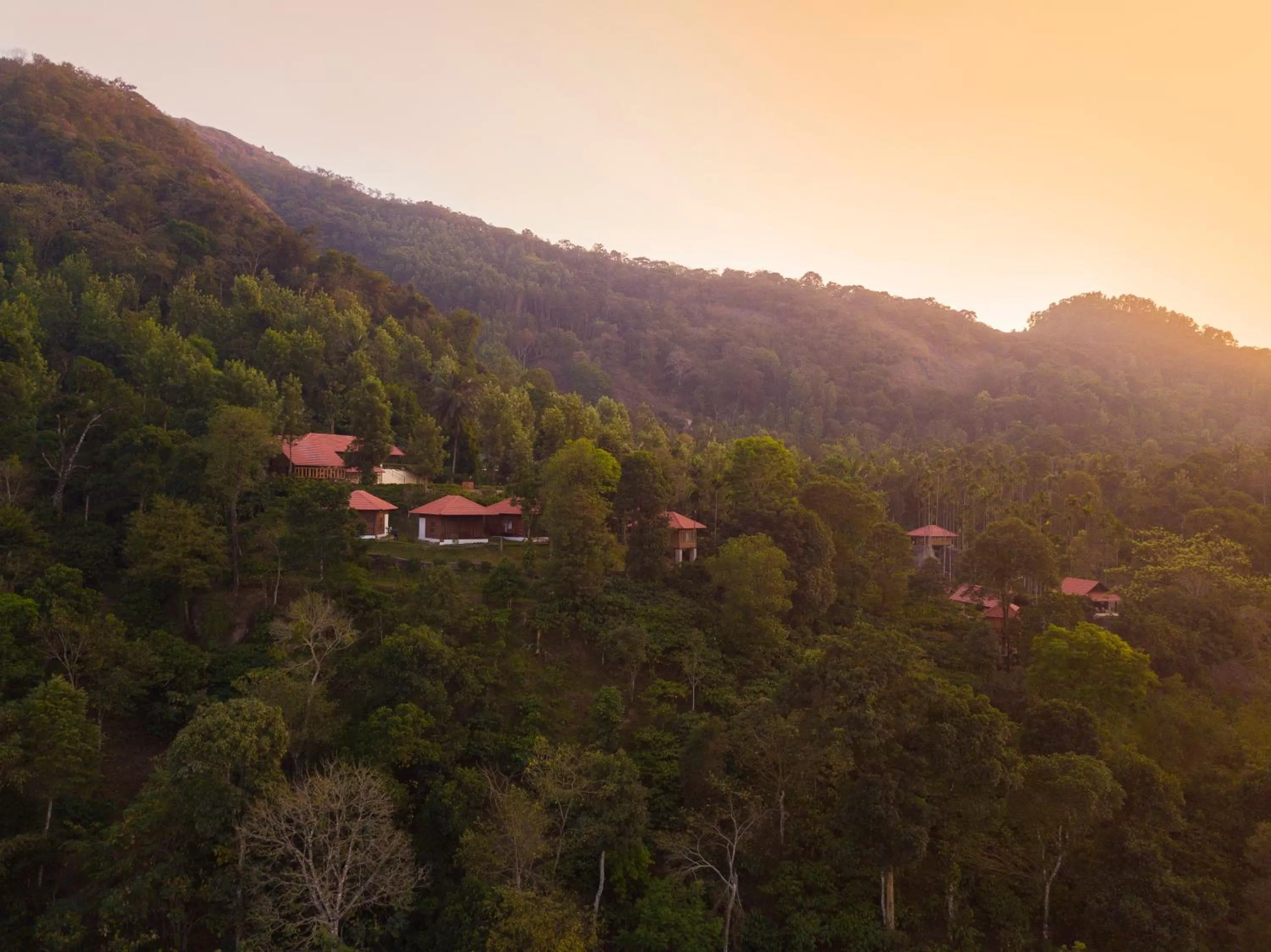 Natural landscape, Bird's-eye View in Marmalade Springs Resort Wayanad