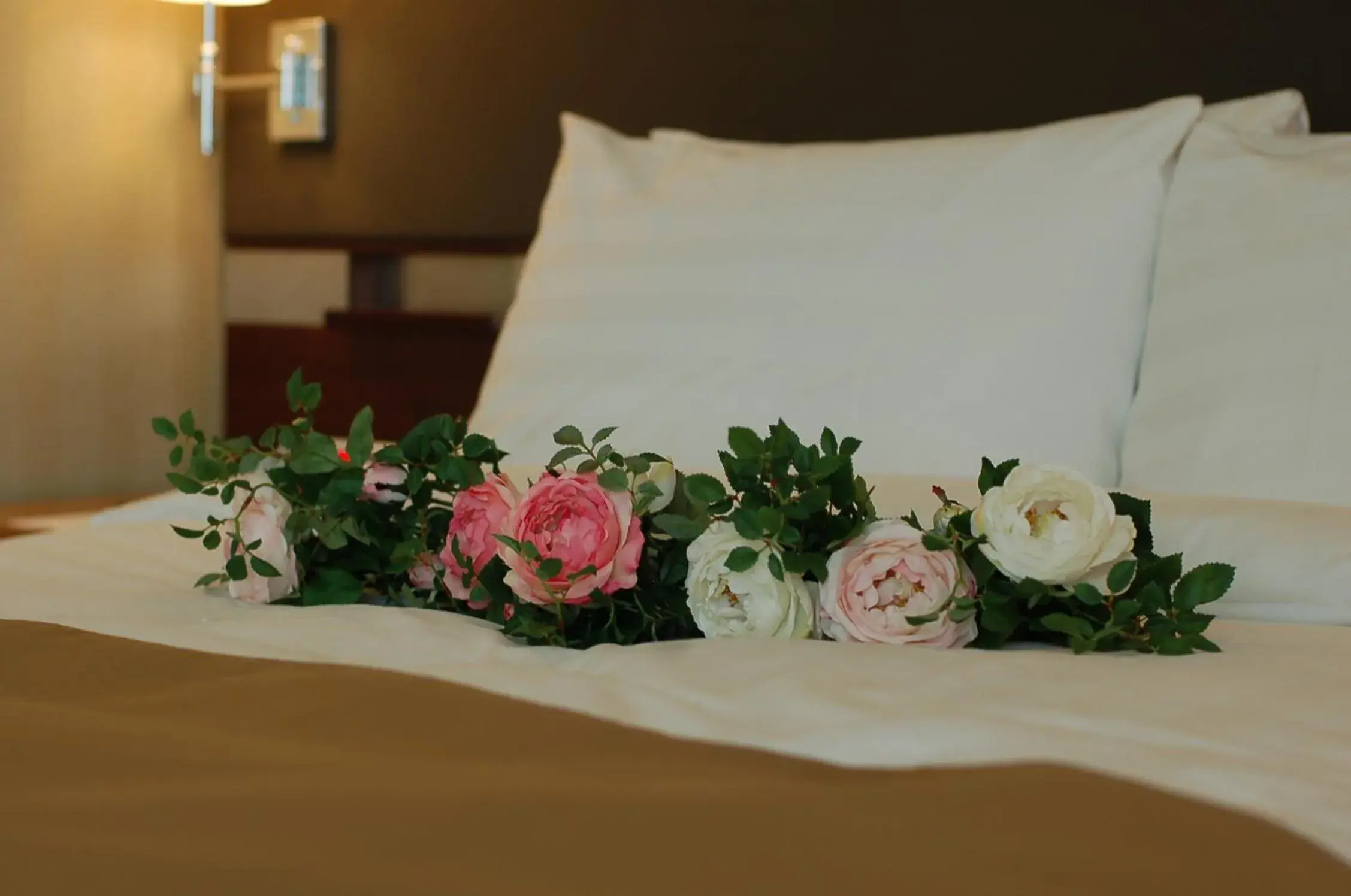 Deluxe Double Room in Grand Plaza Cheongju Hotel Deluxe Double Room in Grand Plaza Cheongju Hotel