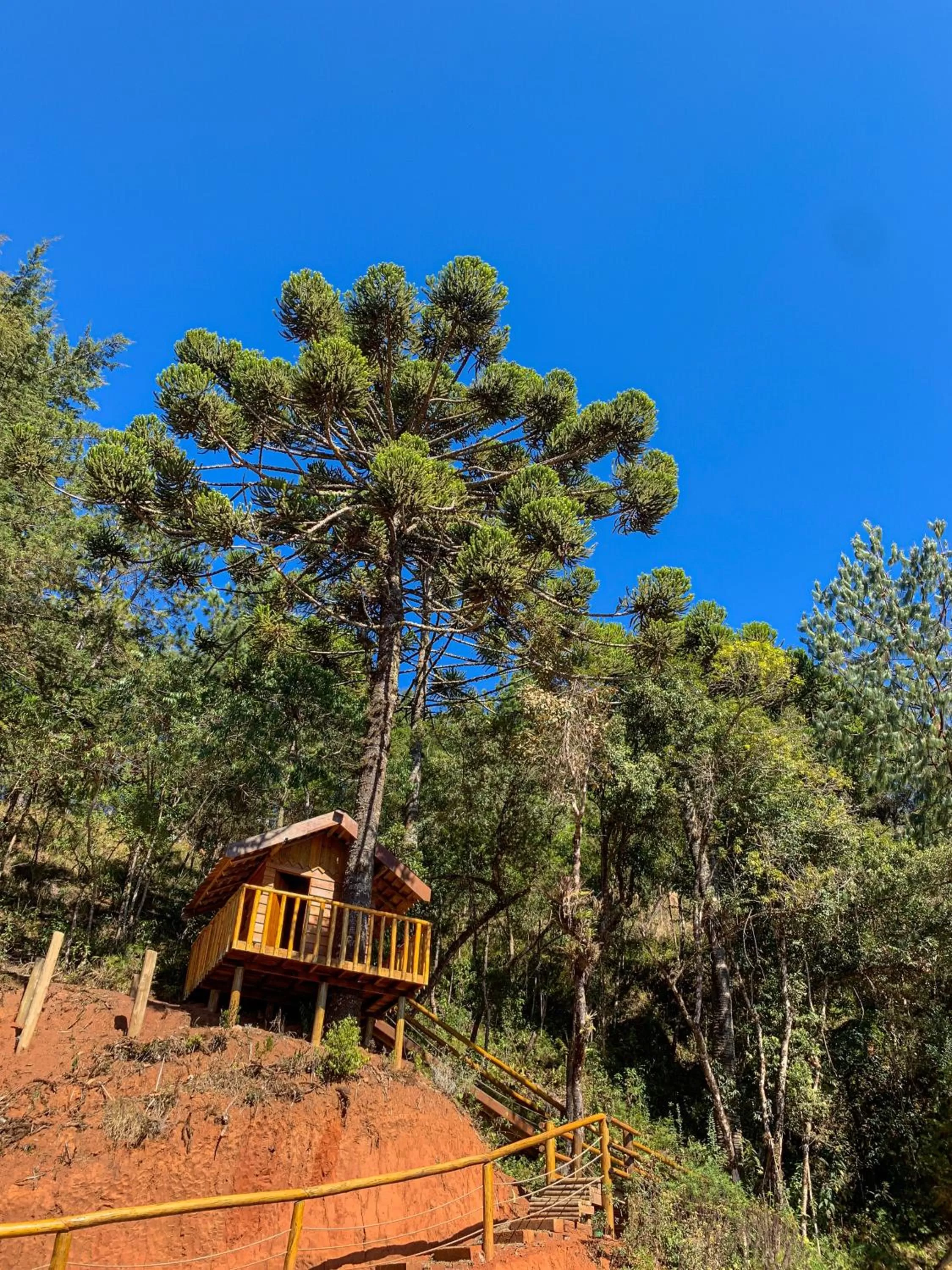 Property building in DOM Hotel