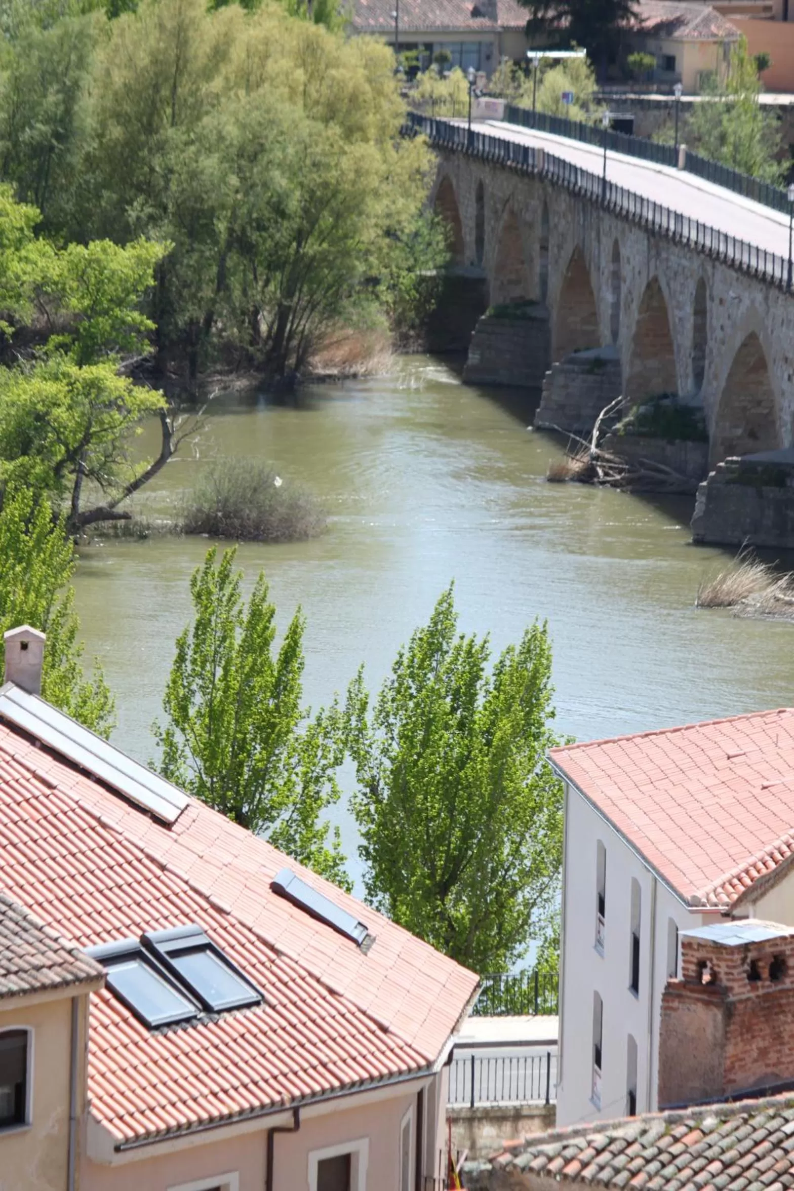 View (from property/room) in Parador de Zamora