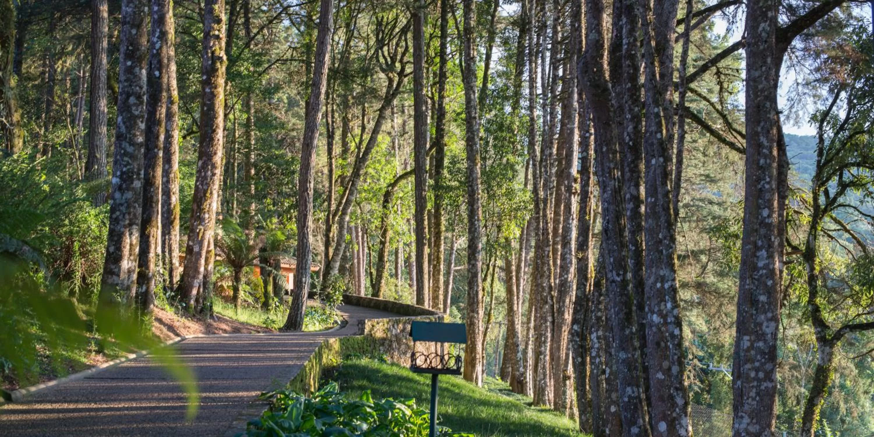 Garden in Kuriuwa Hotel