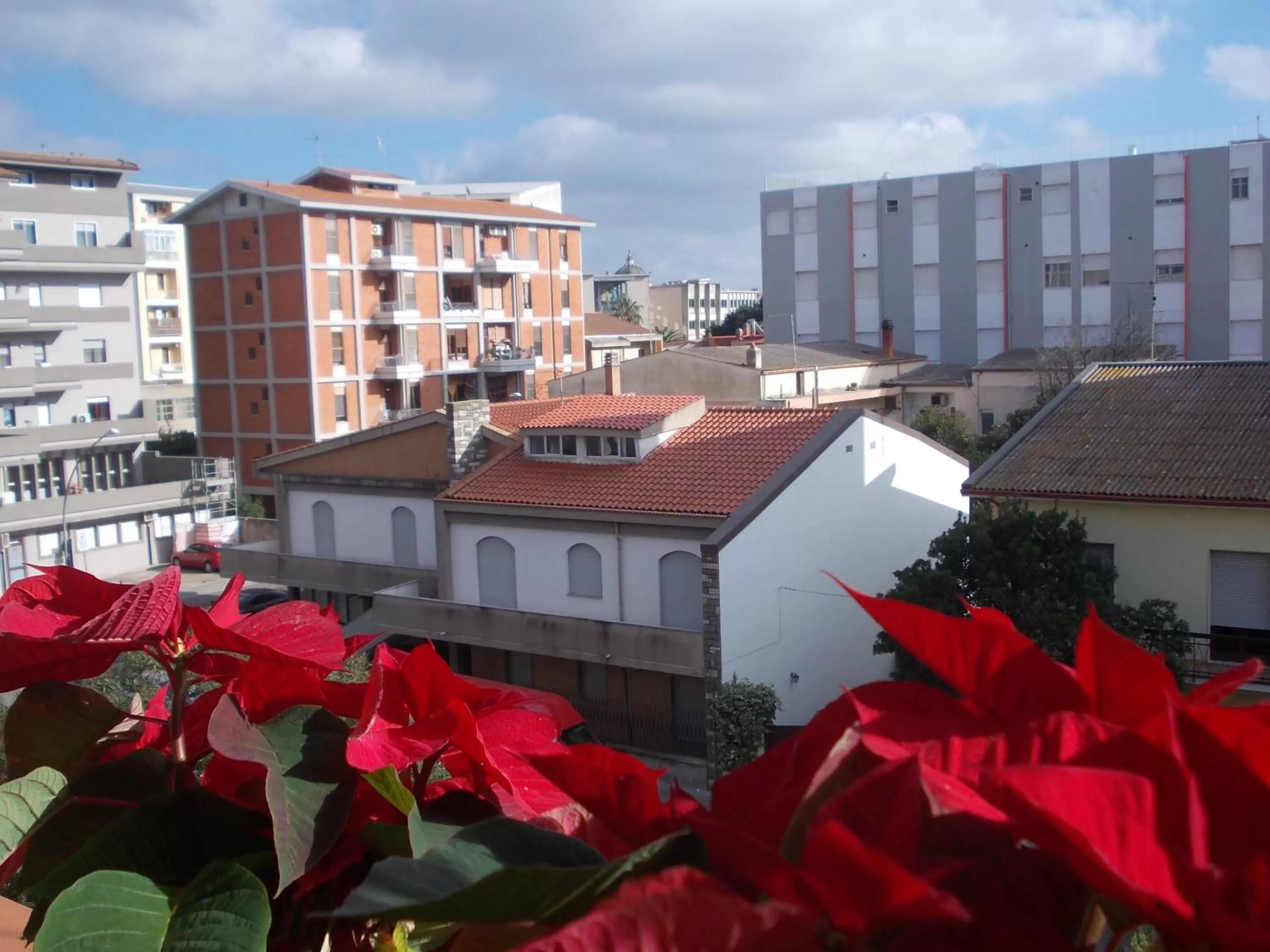 City view in Domus Aurea