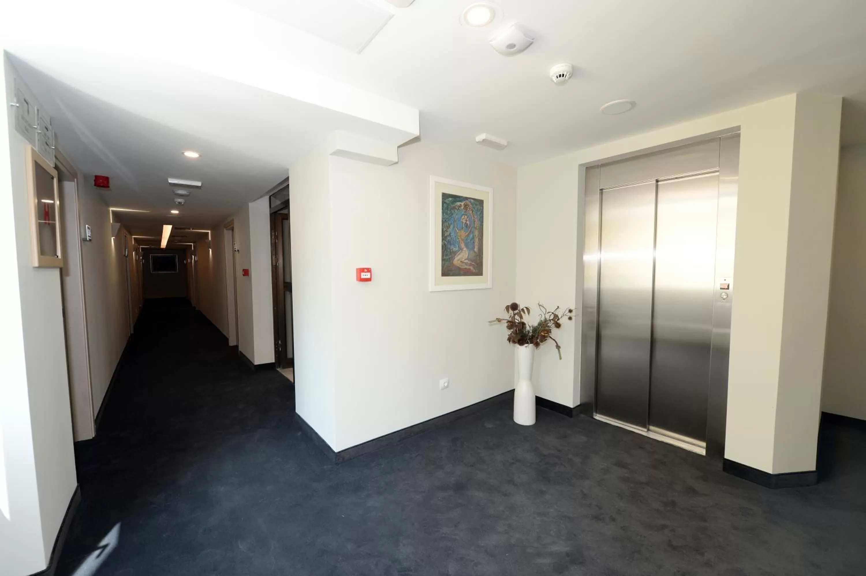 Entertainment in Hotel Alexandar II