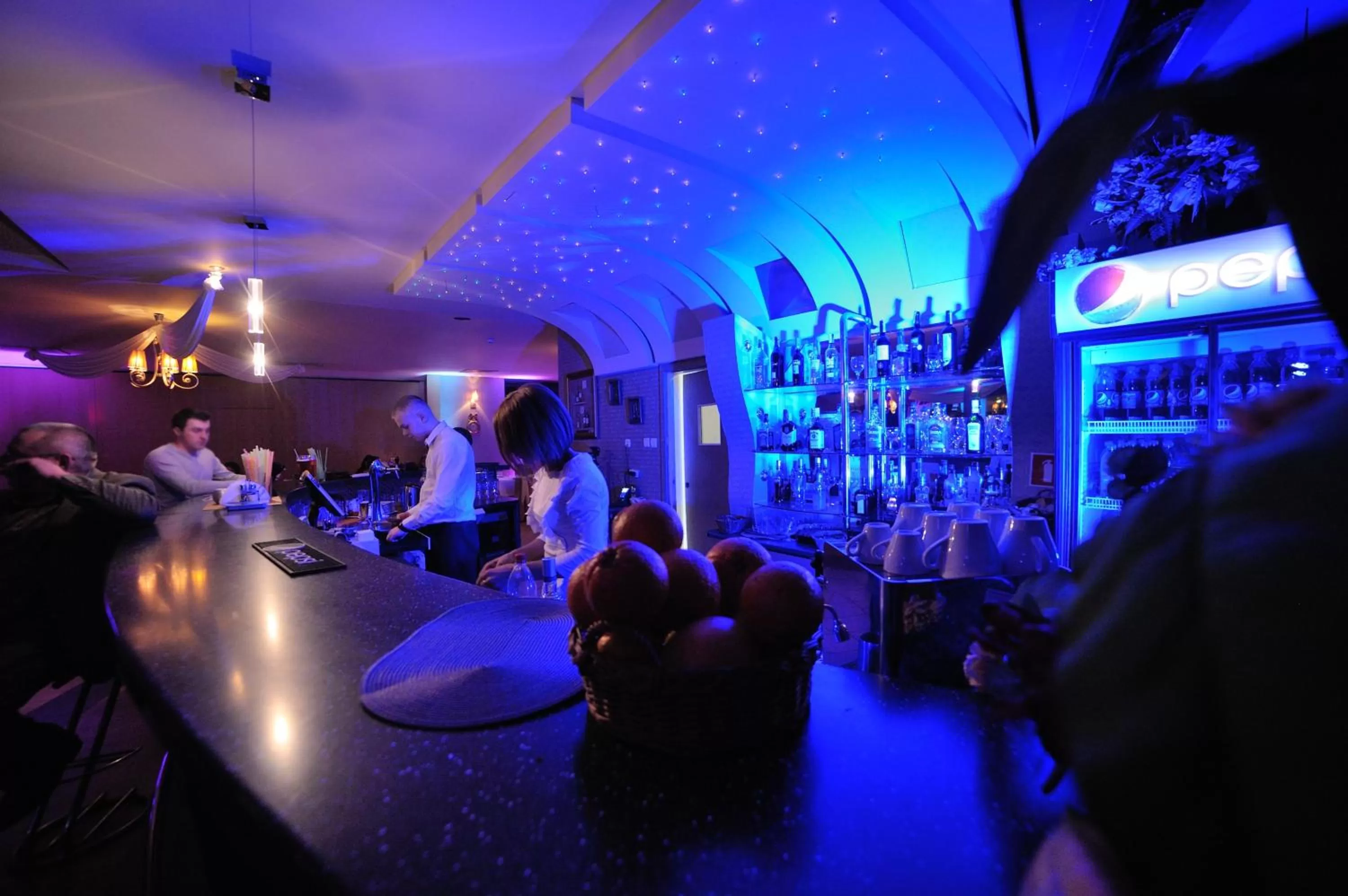 Lounge or bar in Hotel Partner