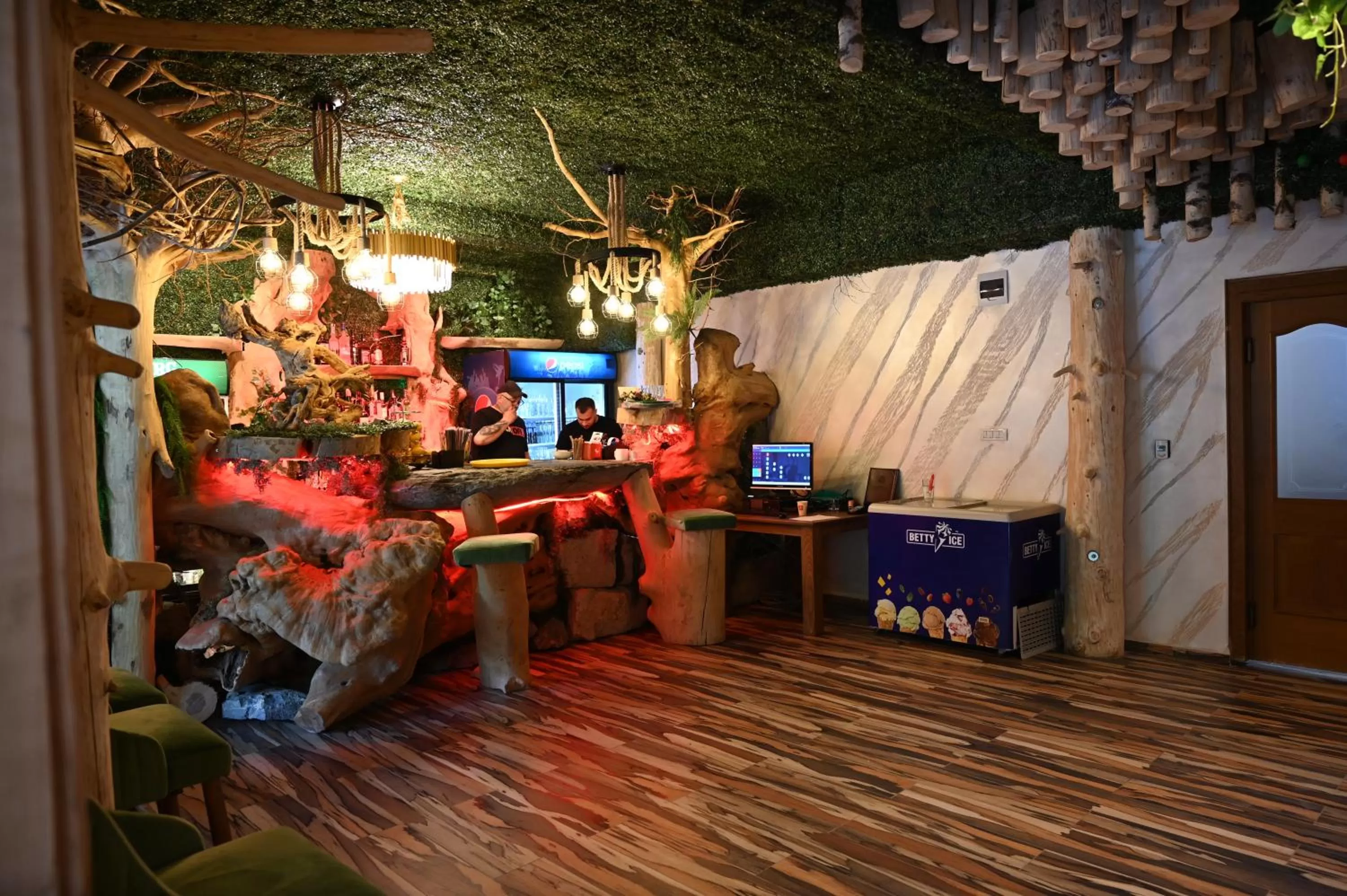 Lounge or bar in Conacul Radacinilor