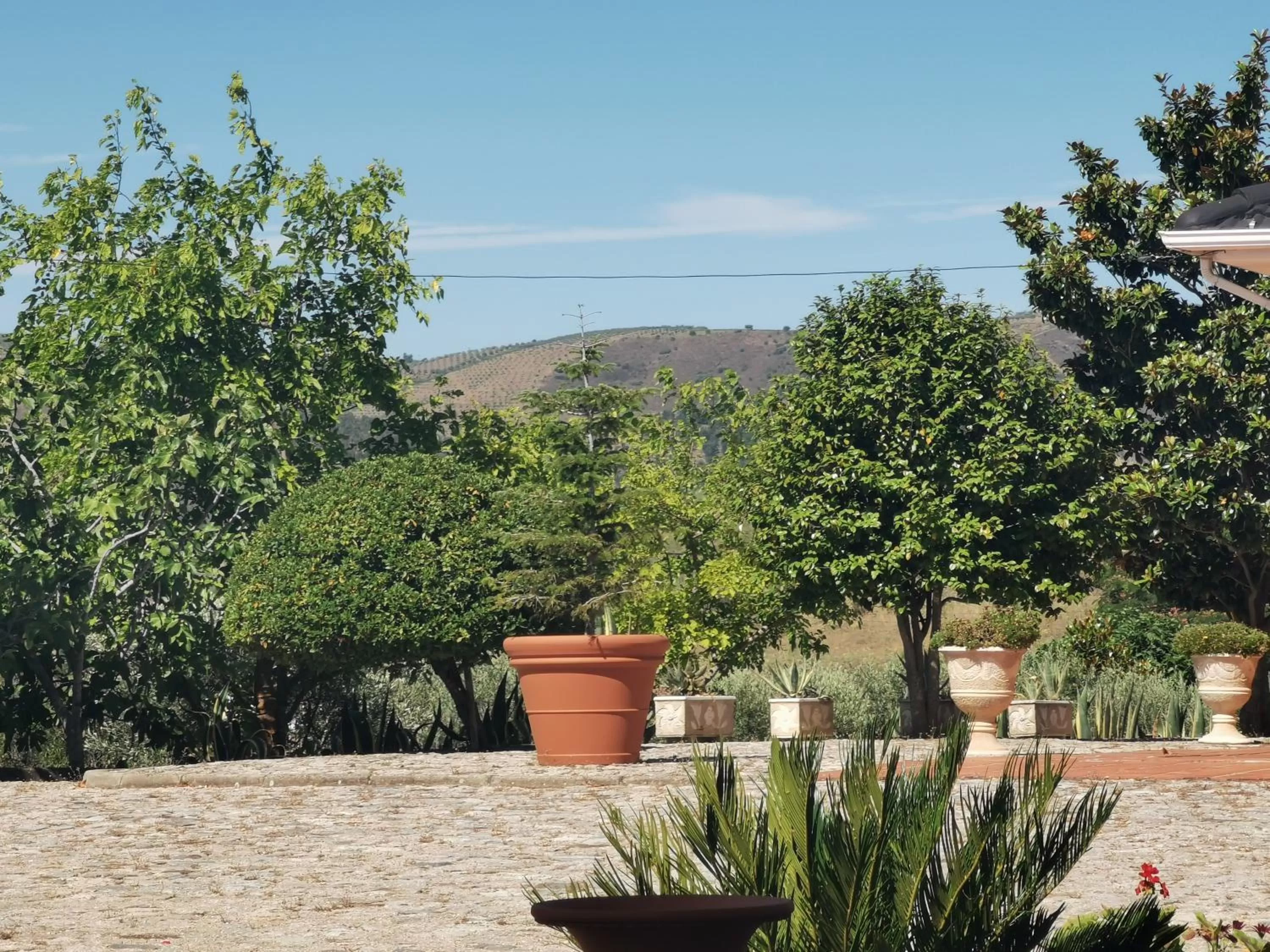 Natural landscape in A Flor da Rosa